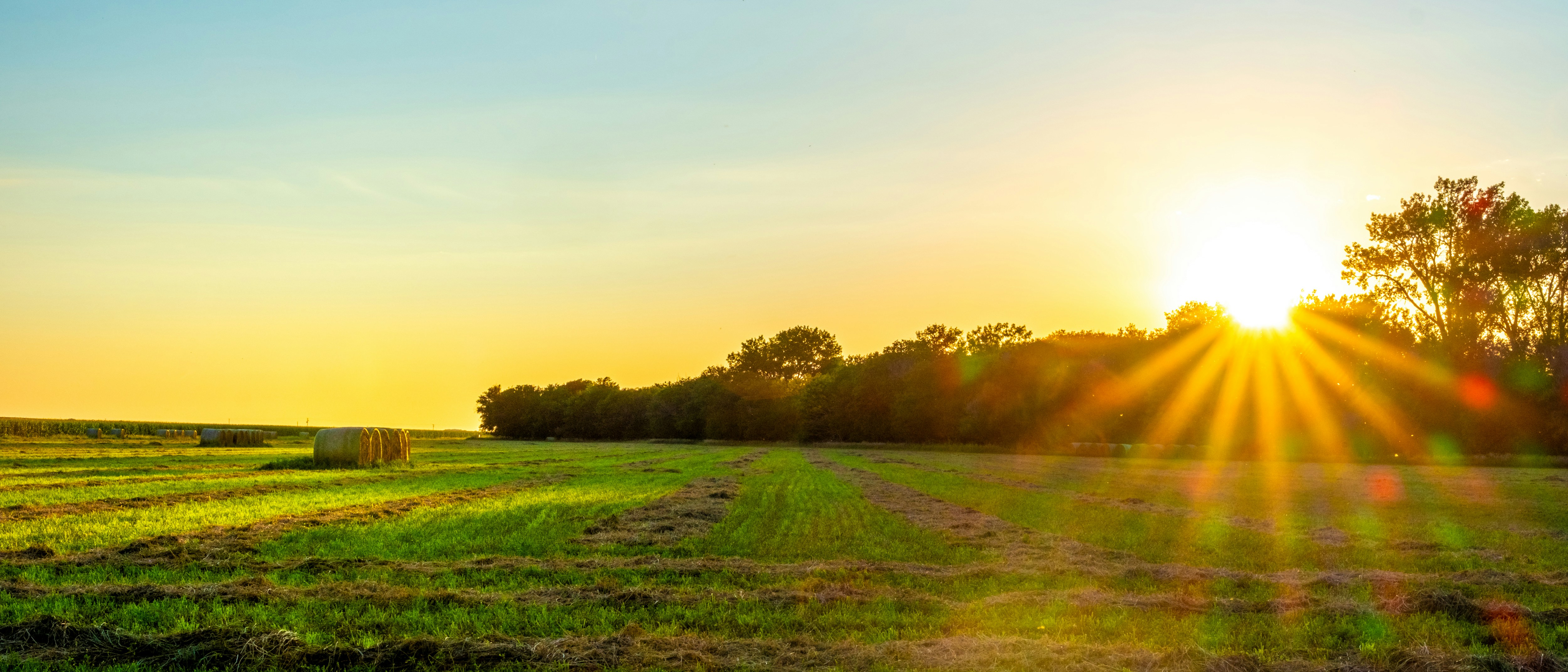 Photo by consoledotlog