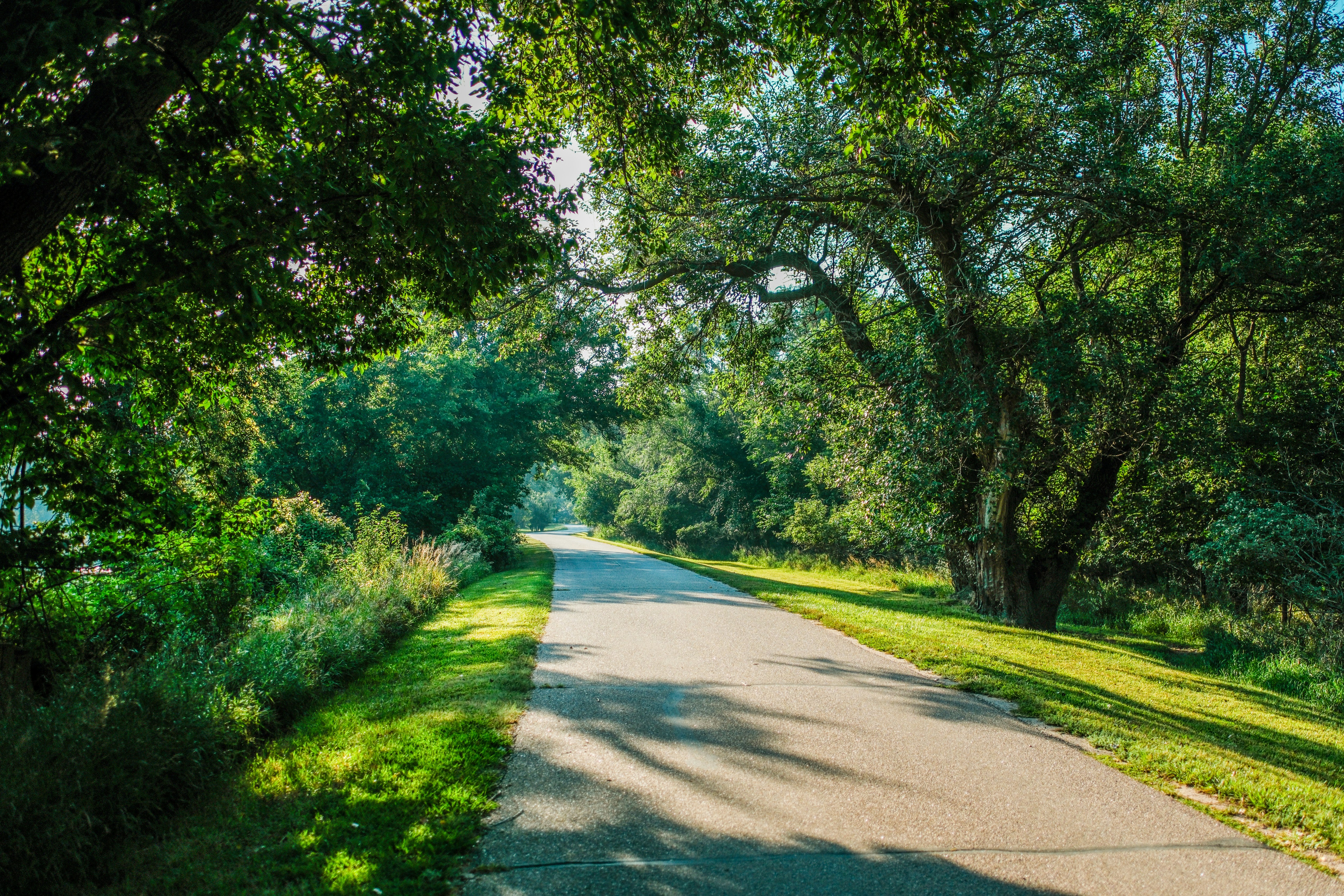 Photo by consoledotlog