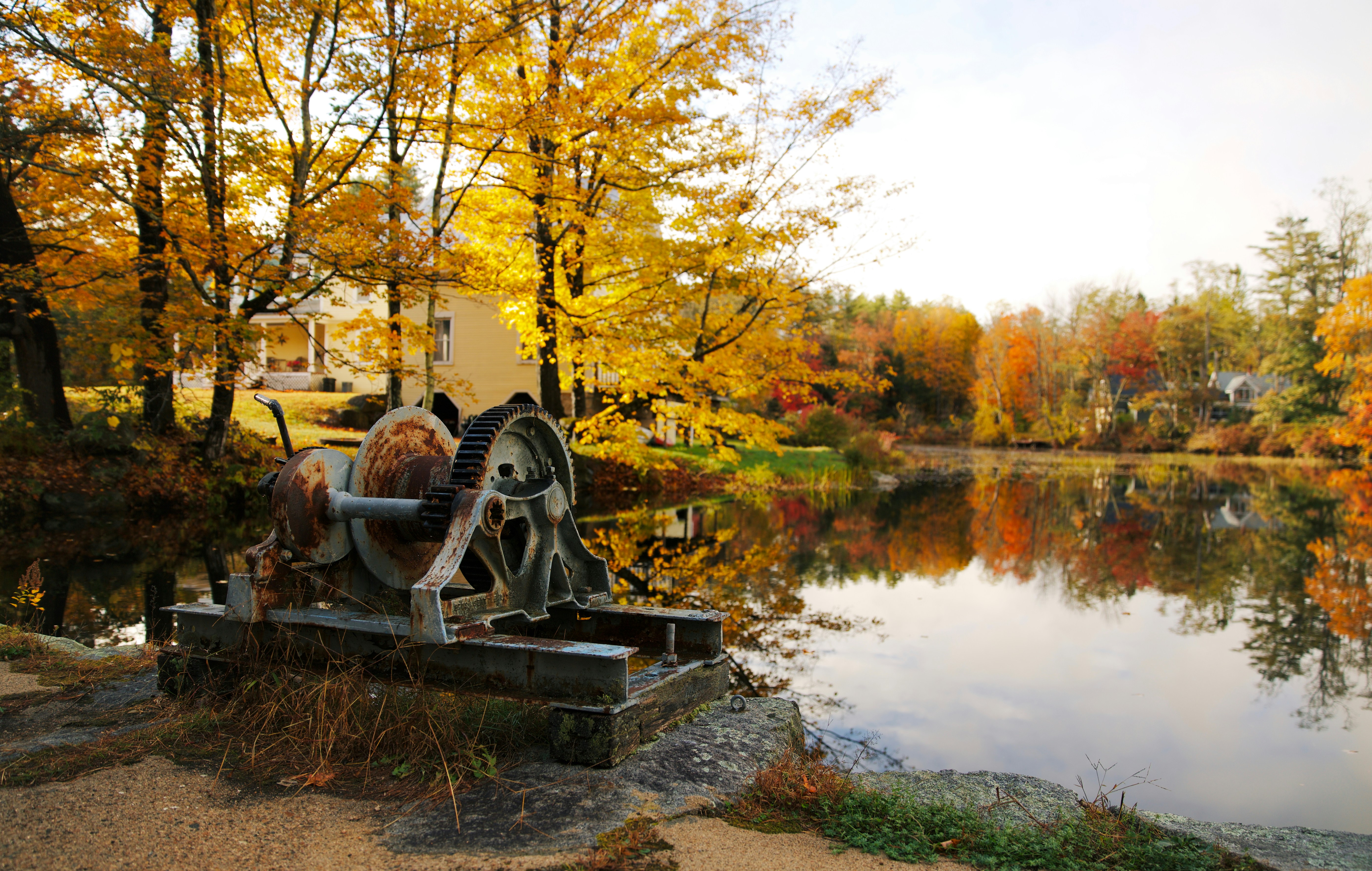 A large machine sitting on top of a river next to a forest