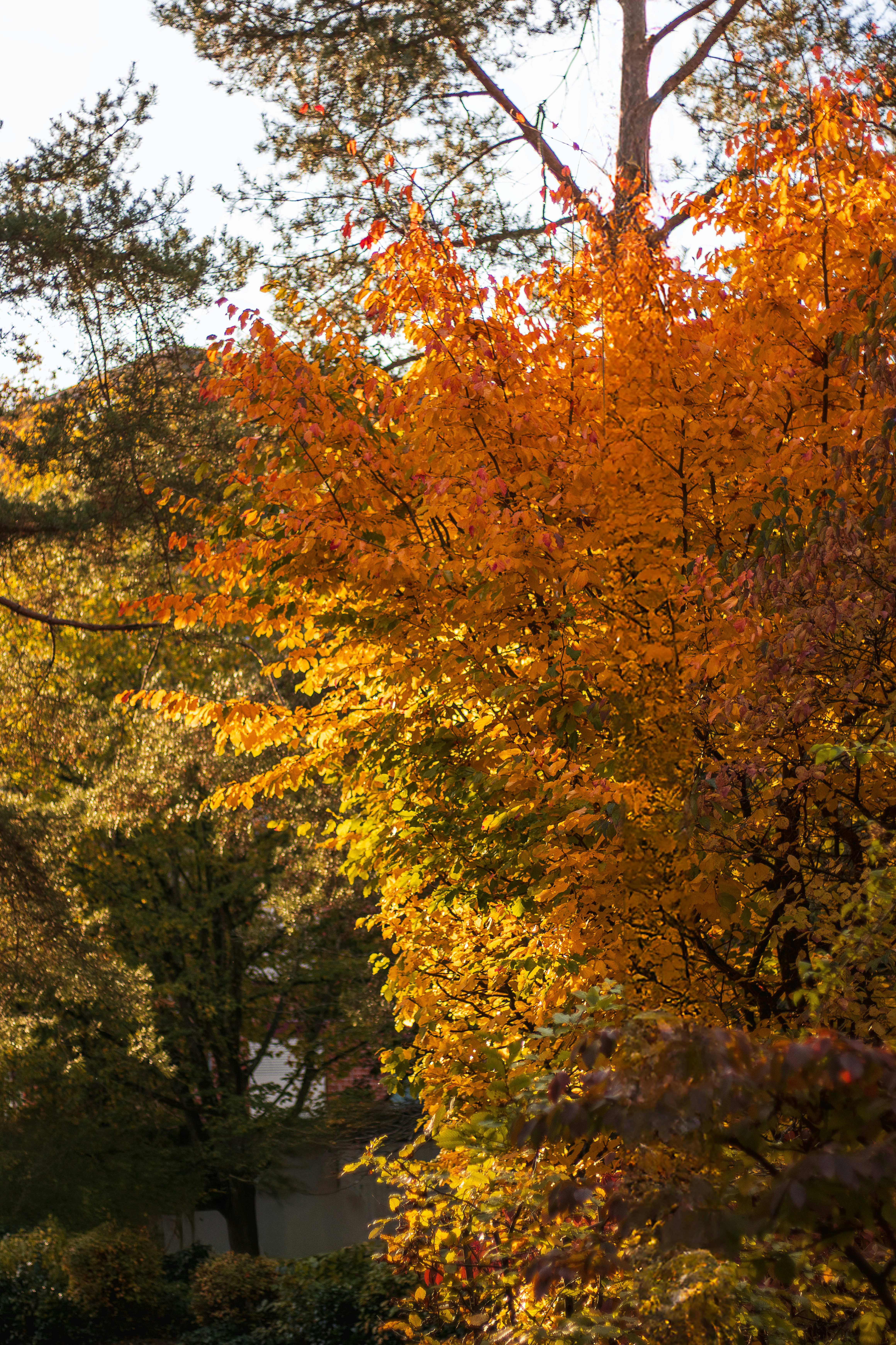 A bench sitting in the middle of a park