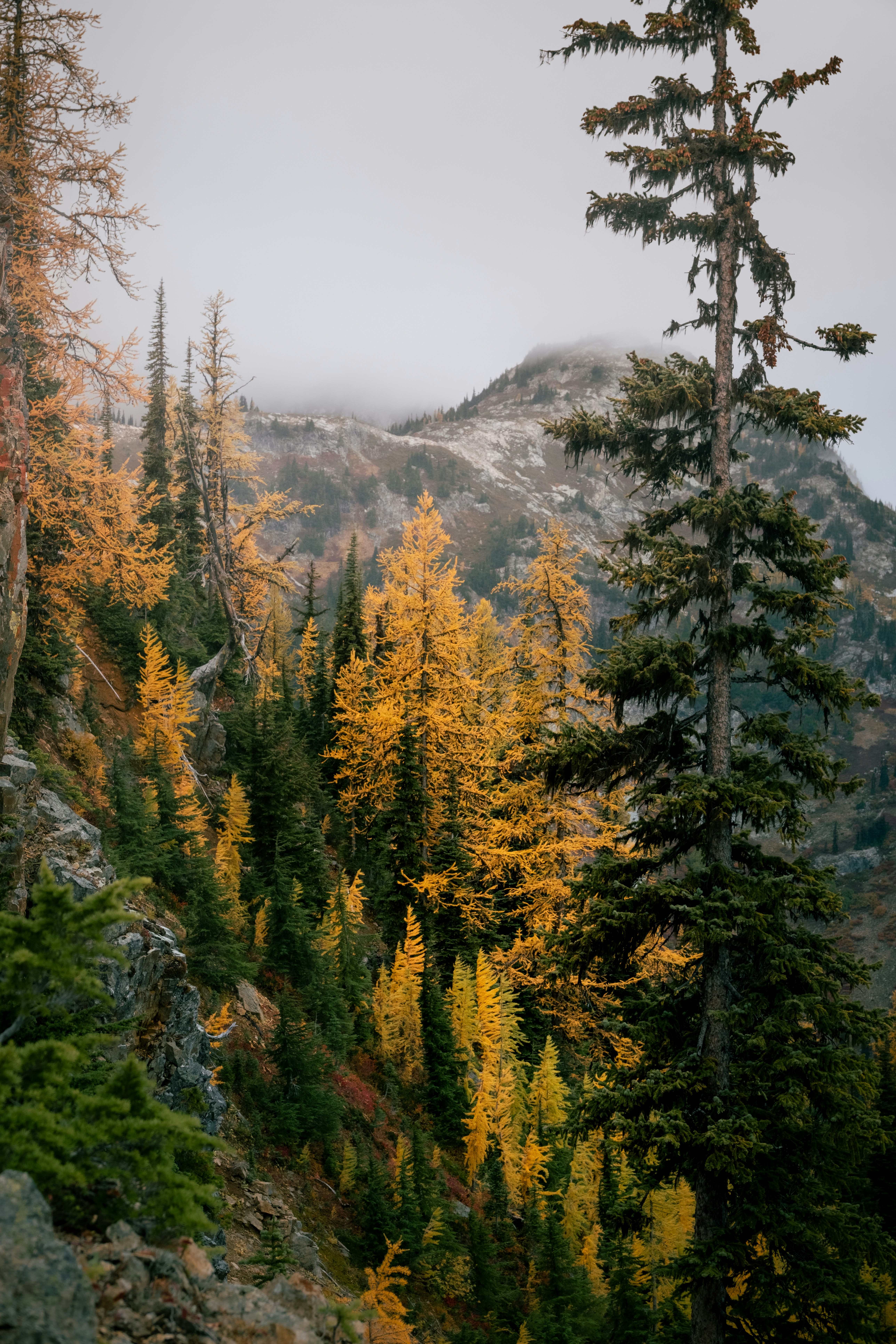 Photo by quinnaebiphoto