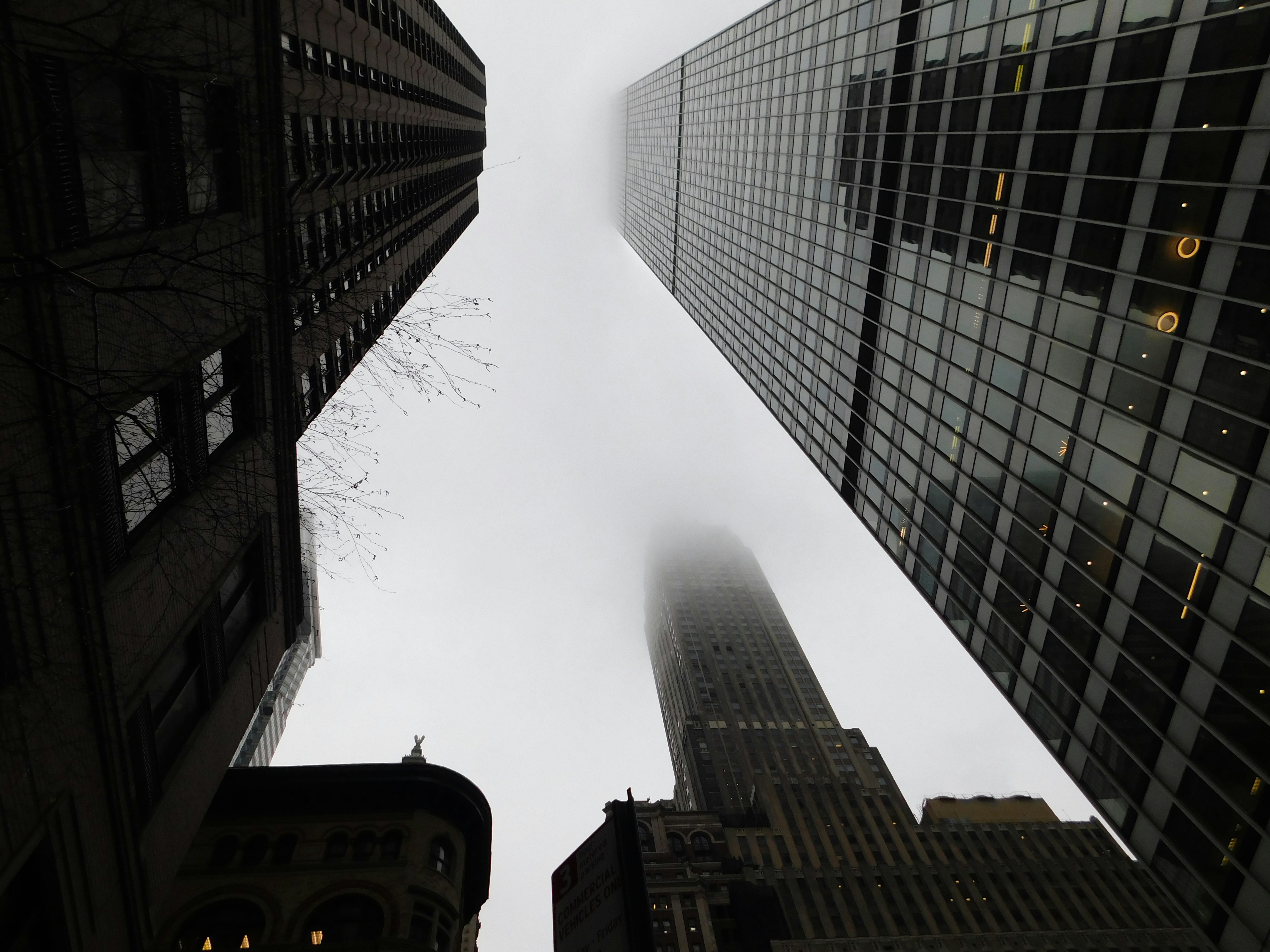 Photo by shantal2022