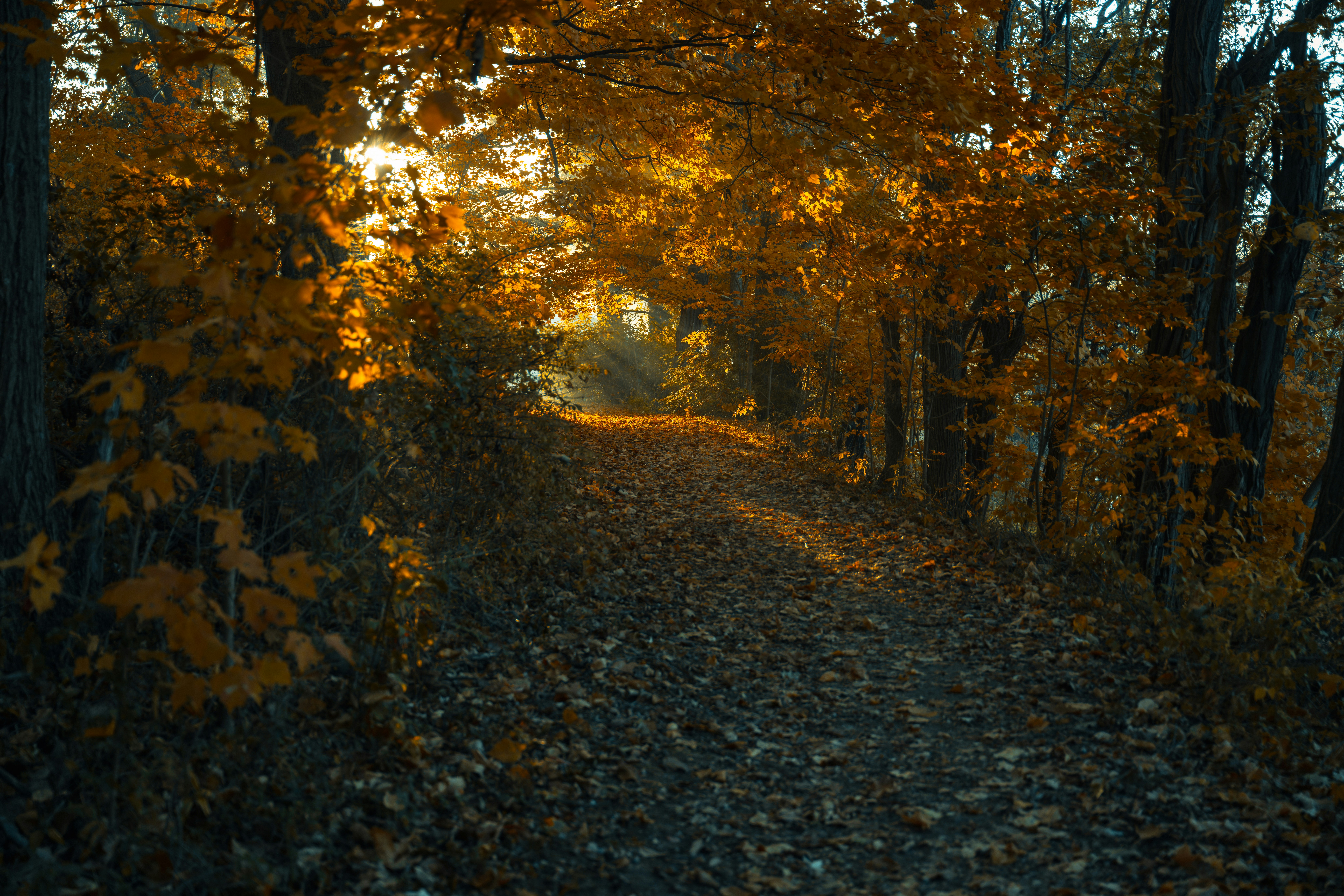 Photo by ryangrewell