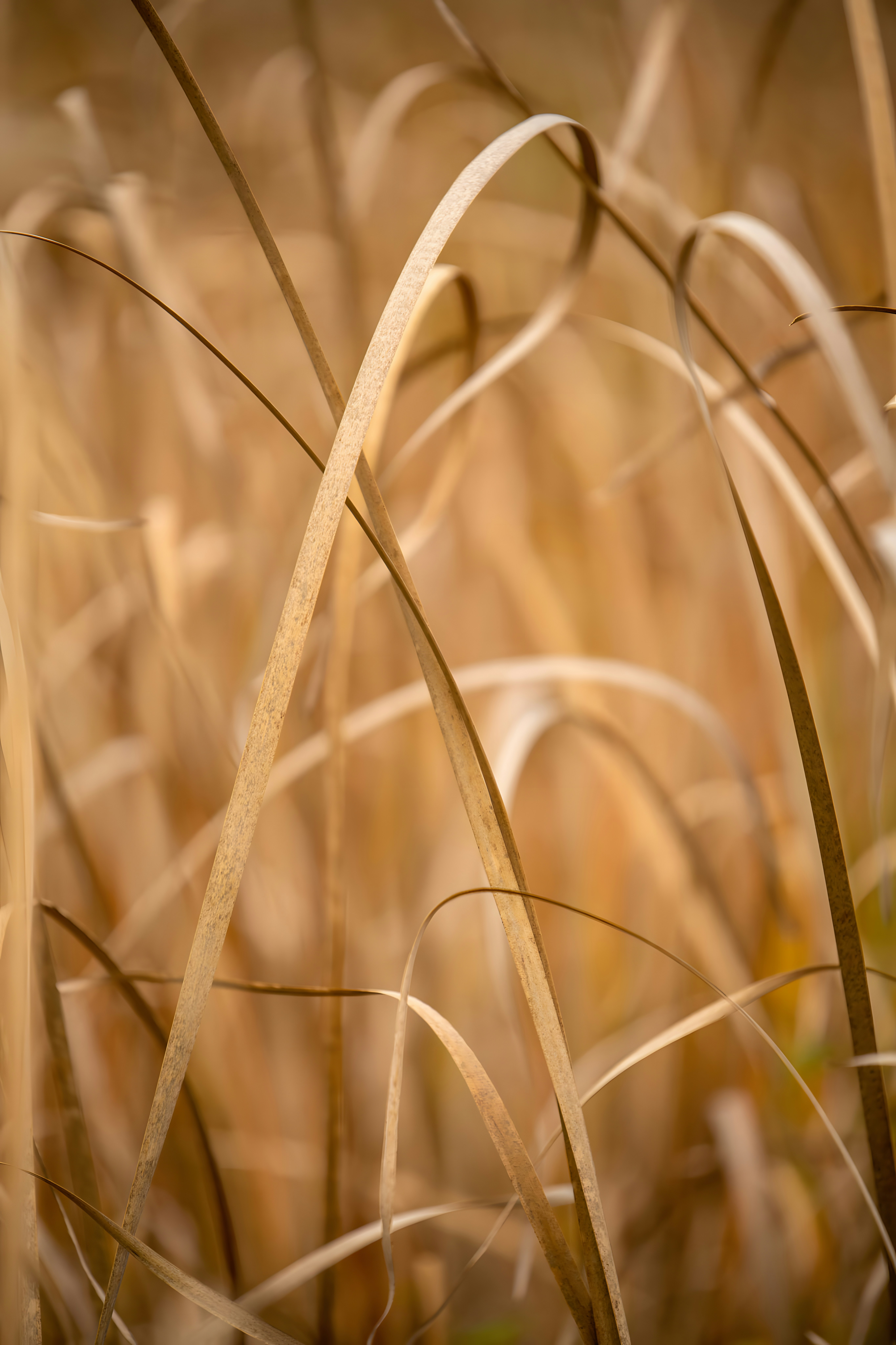 Photo by damiencampbell