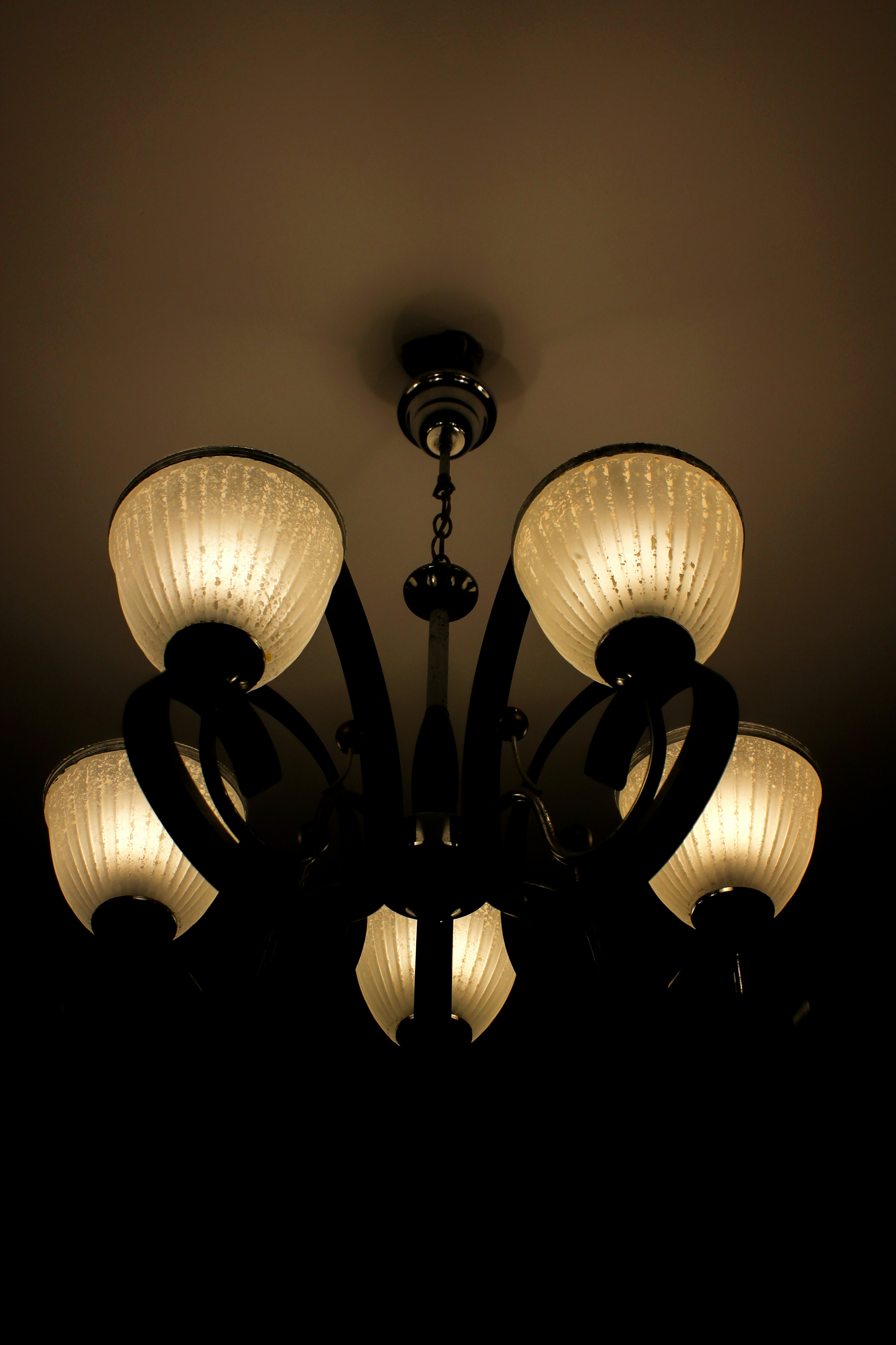 Photo by umarmaqbool1150