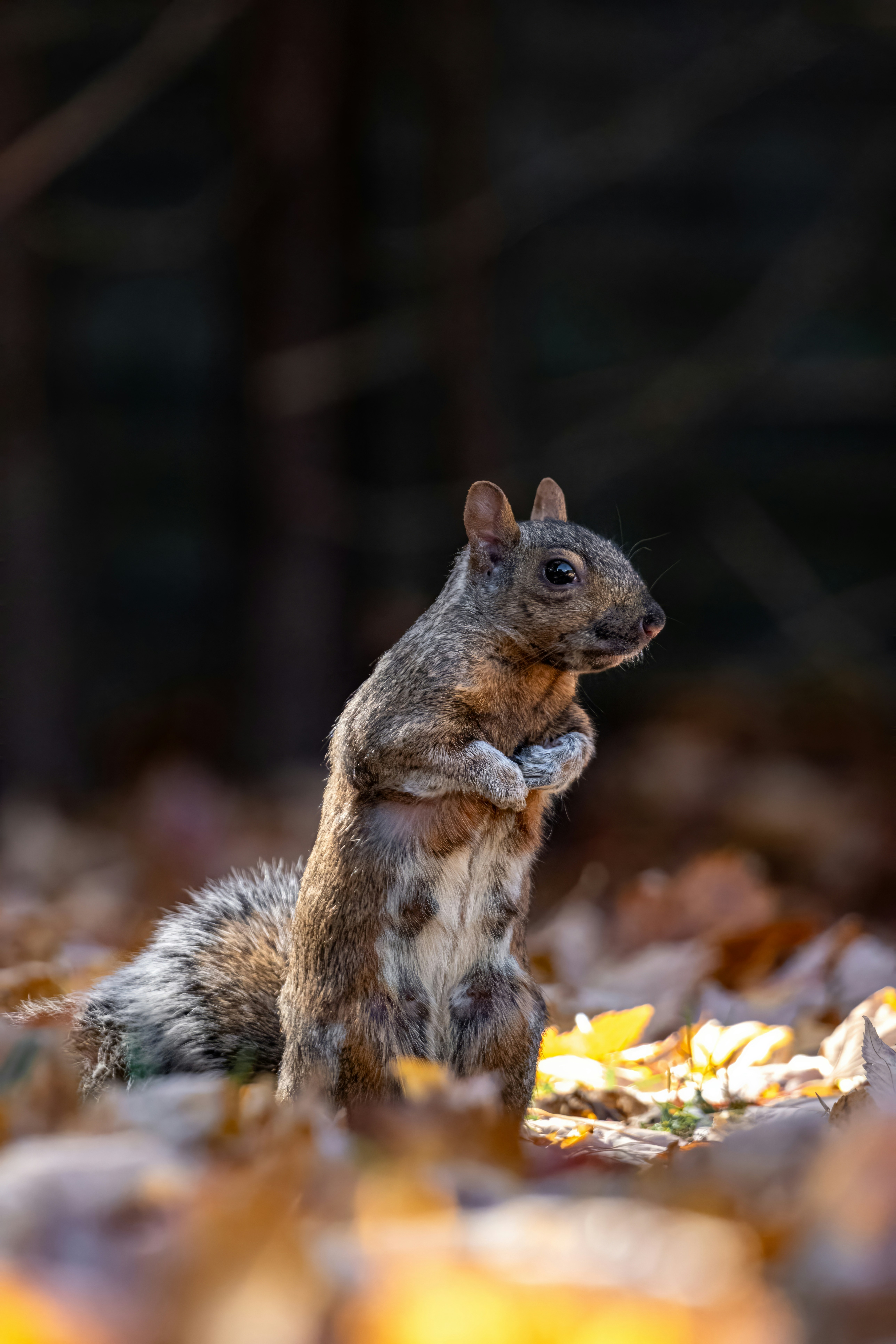 Photo by alexandredaoust