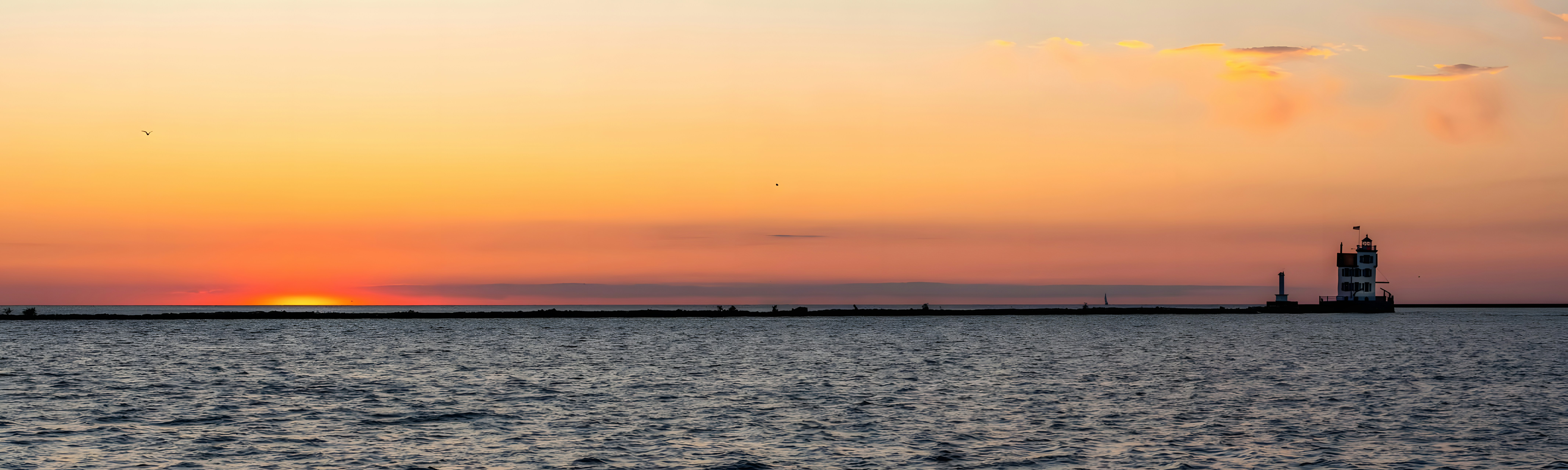 Photo by damiencampbell