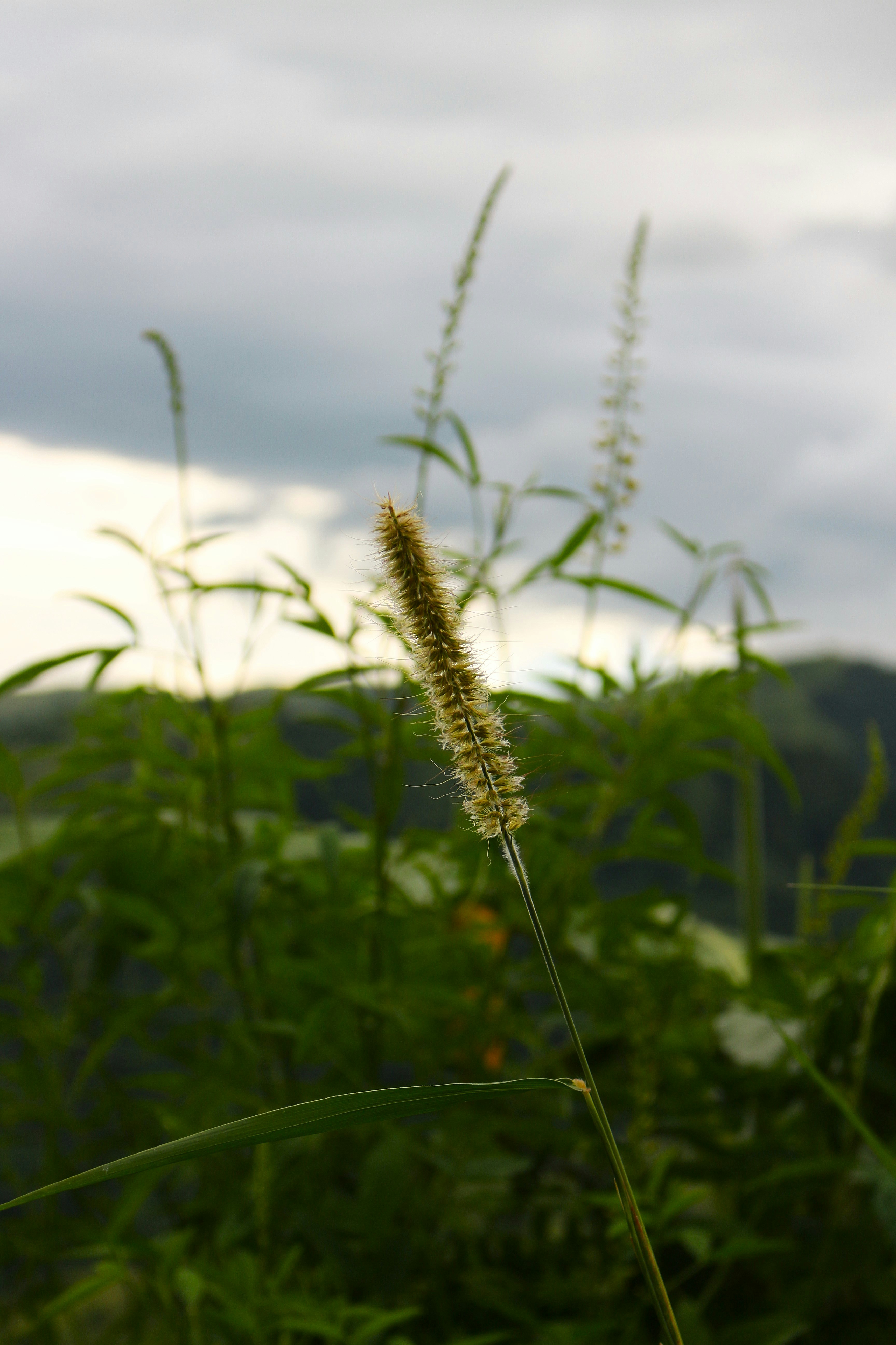 Photo by froilan83
