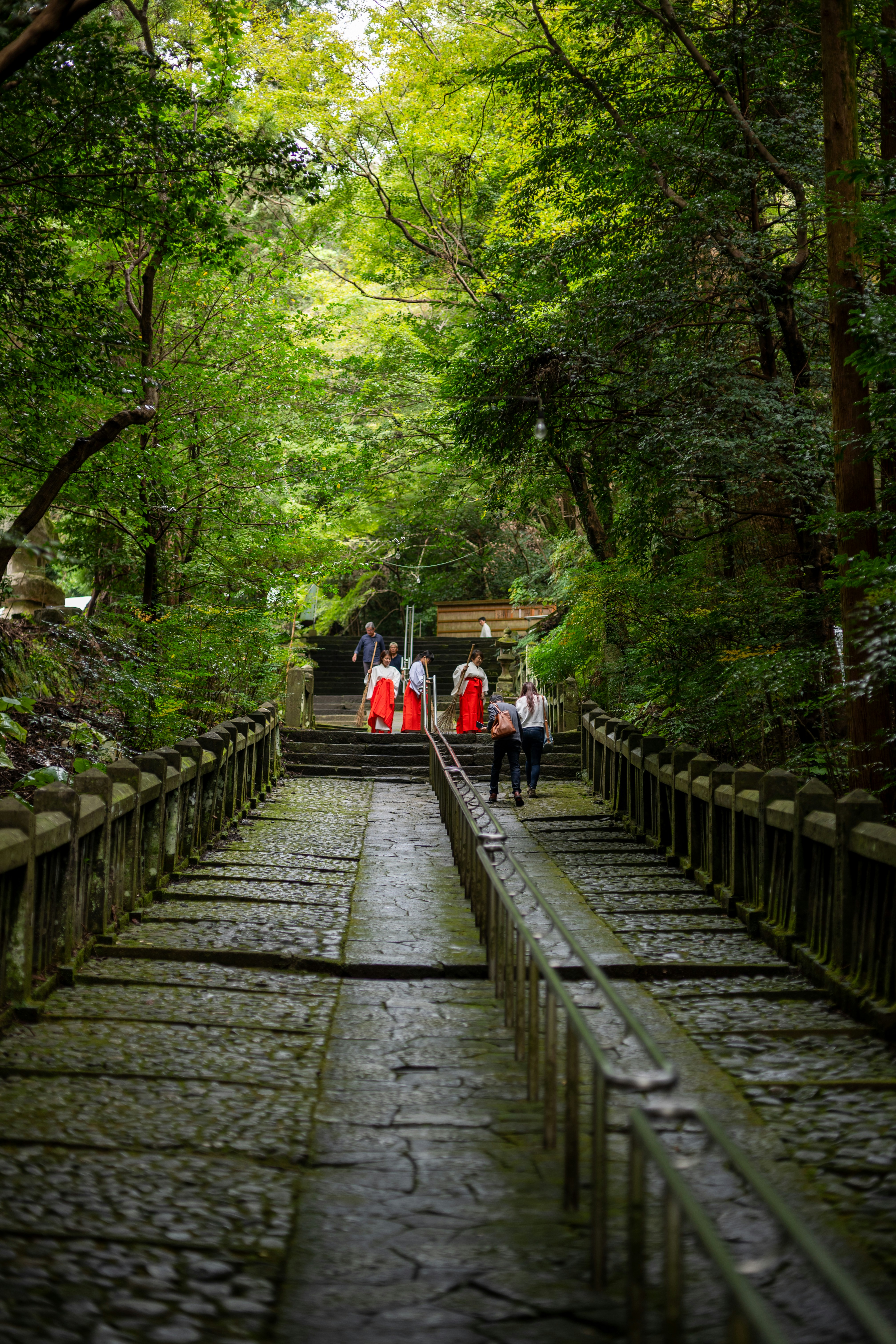 Guided nature walk in Japan