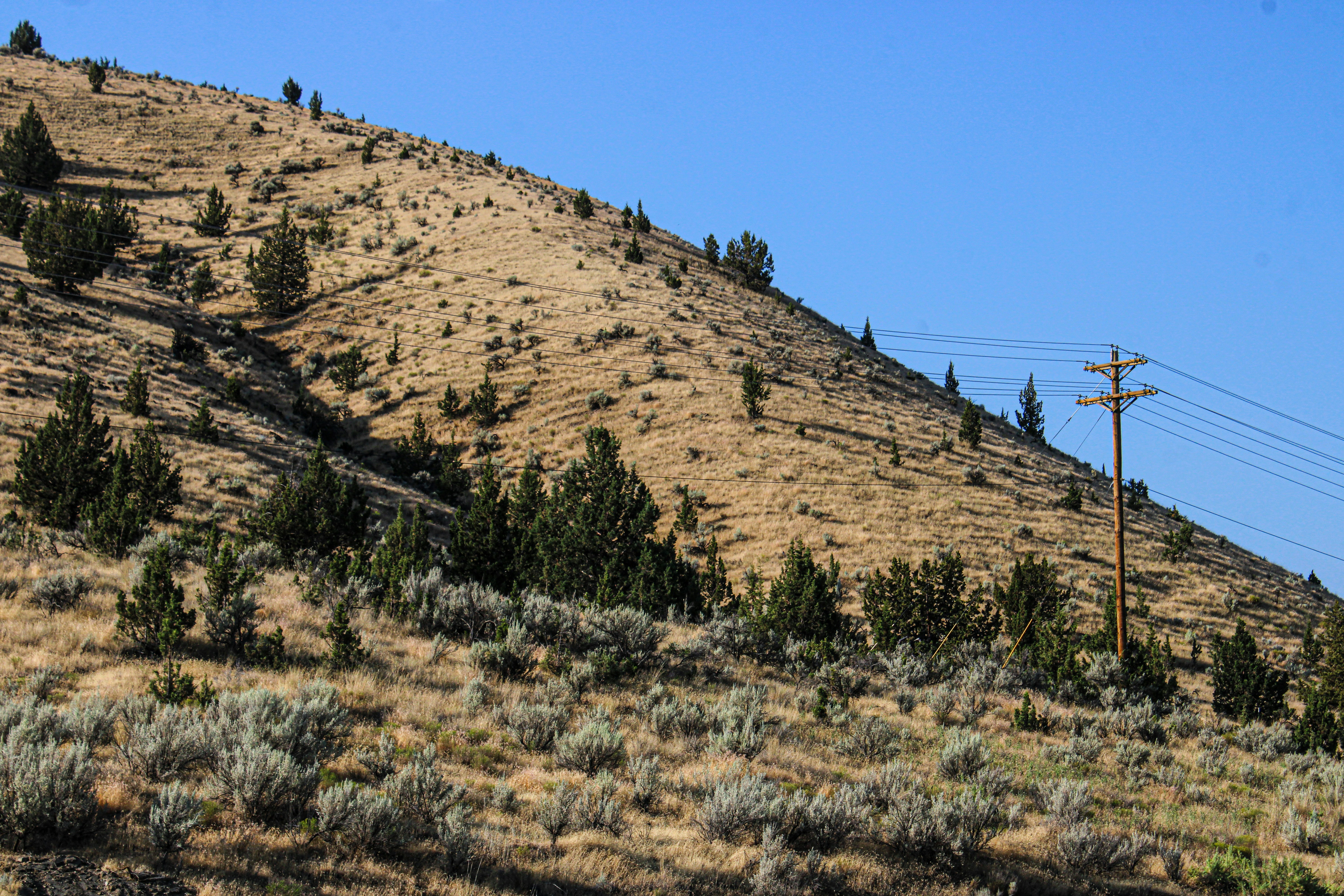 Photo by prphotography262