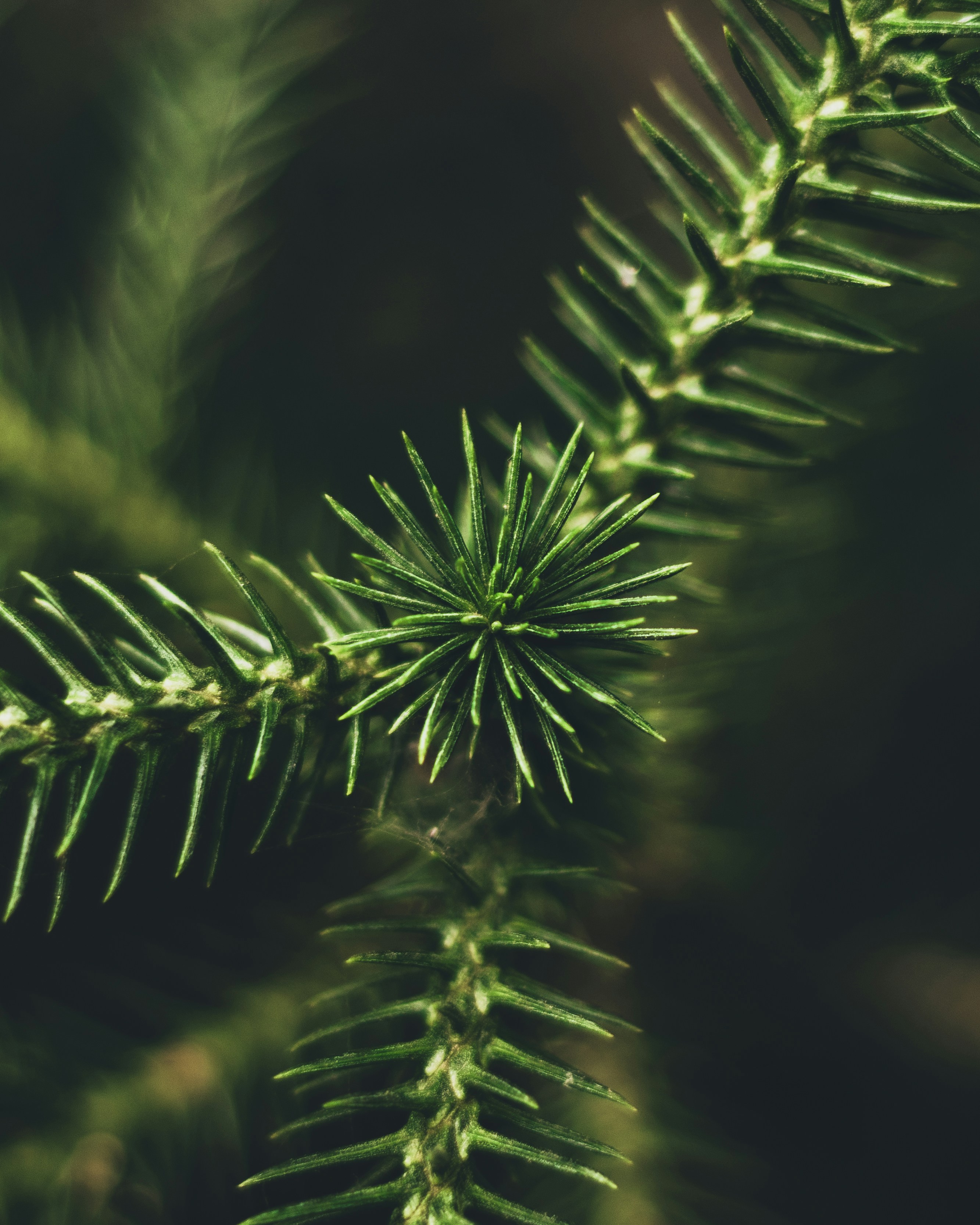 Photo by aryankumar974