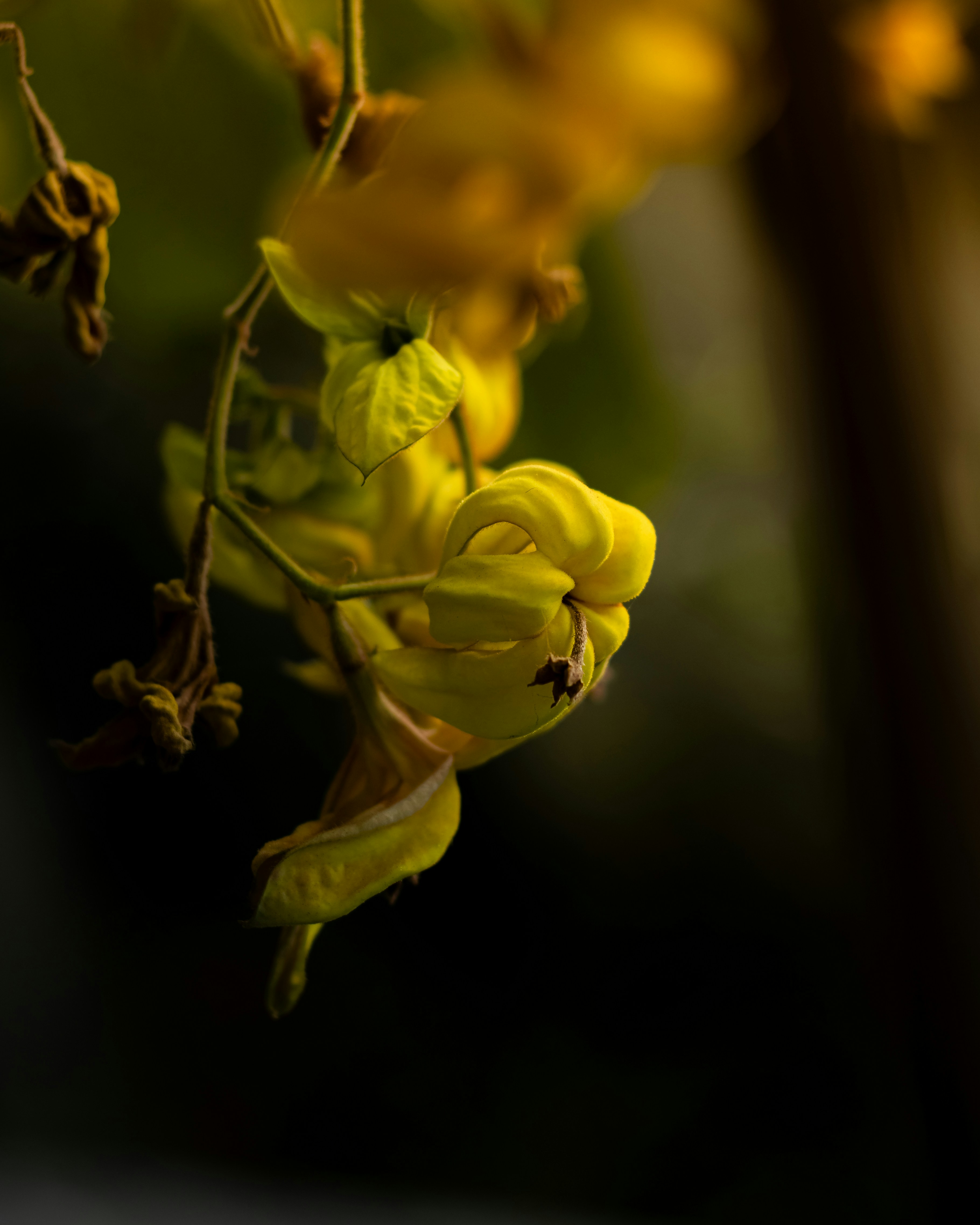 Photo by aryankumar974