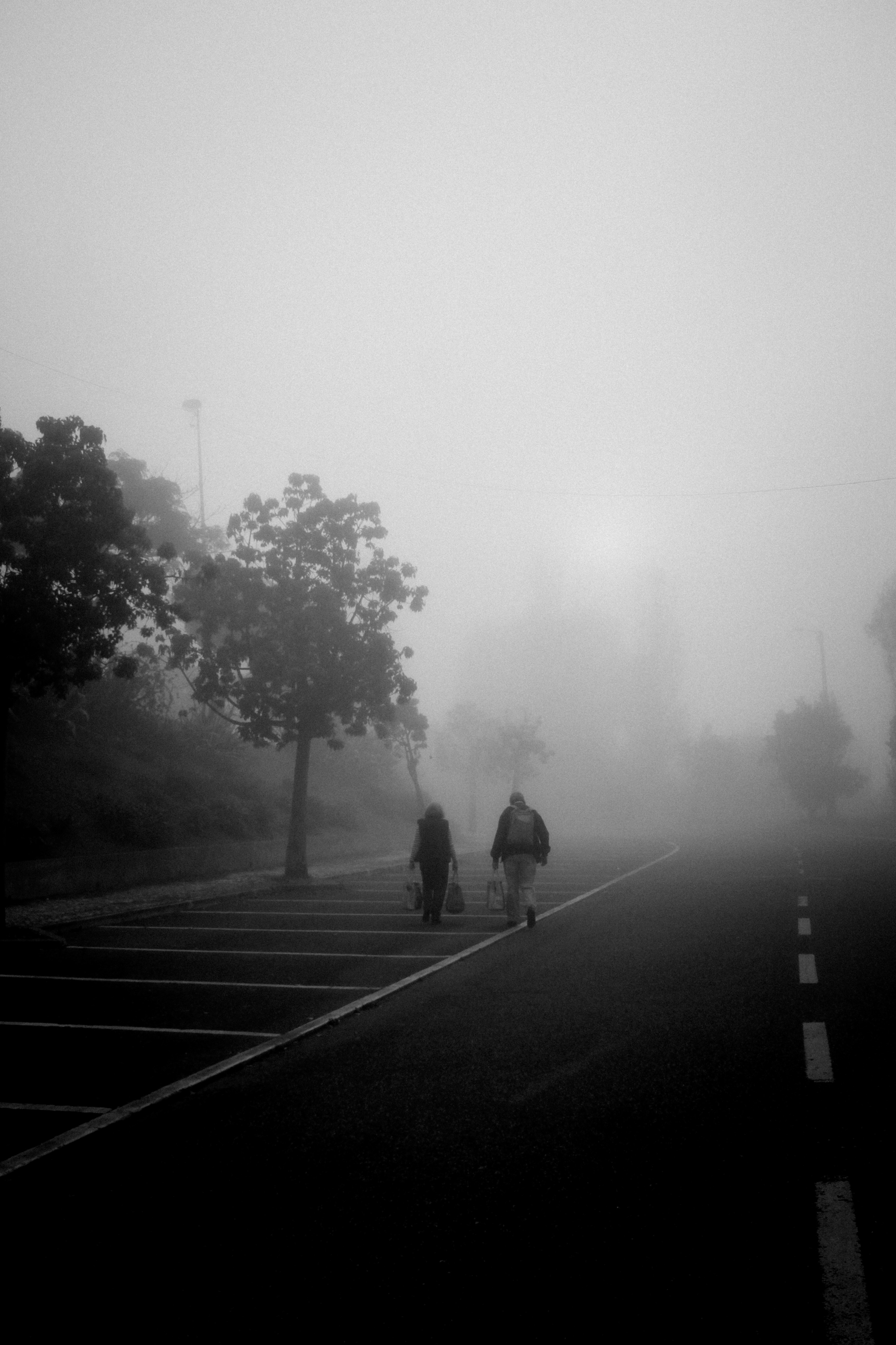 Photo by omarcelorangel