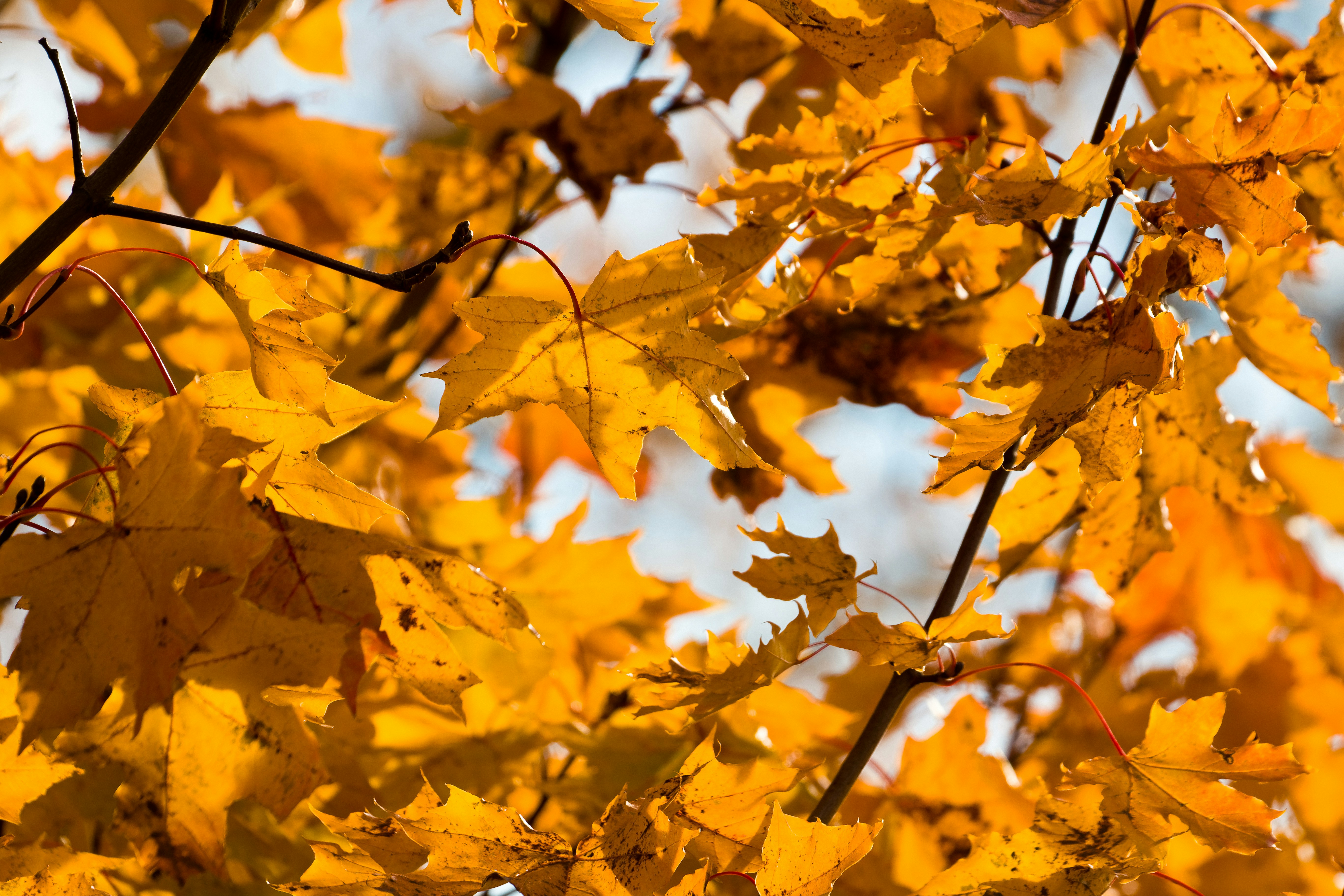 Photo by valentinhintikka