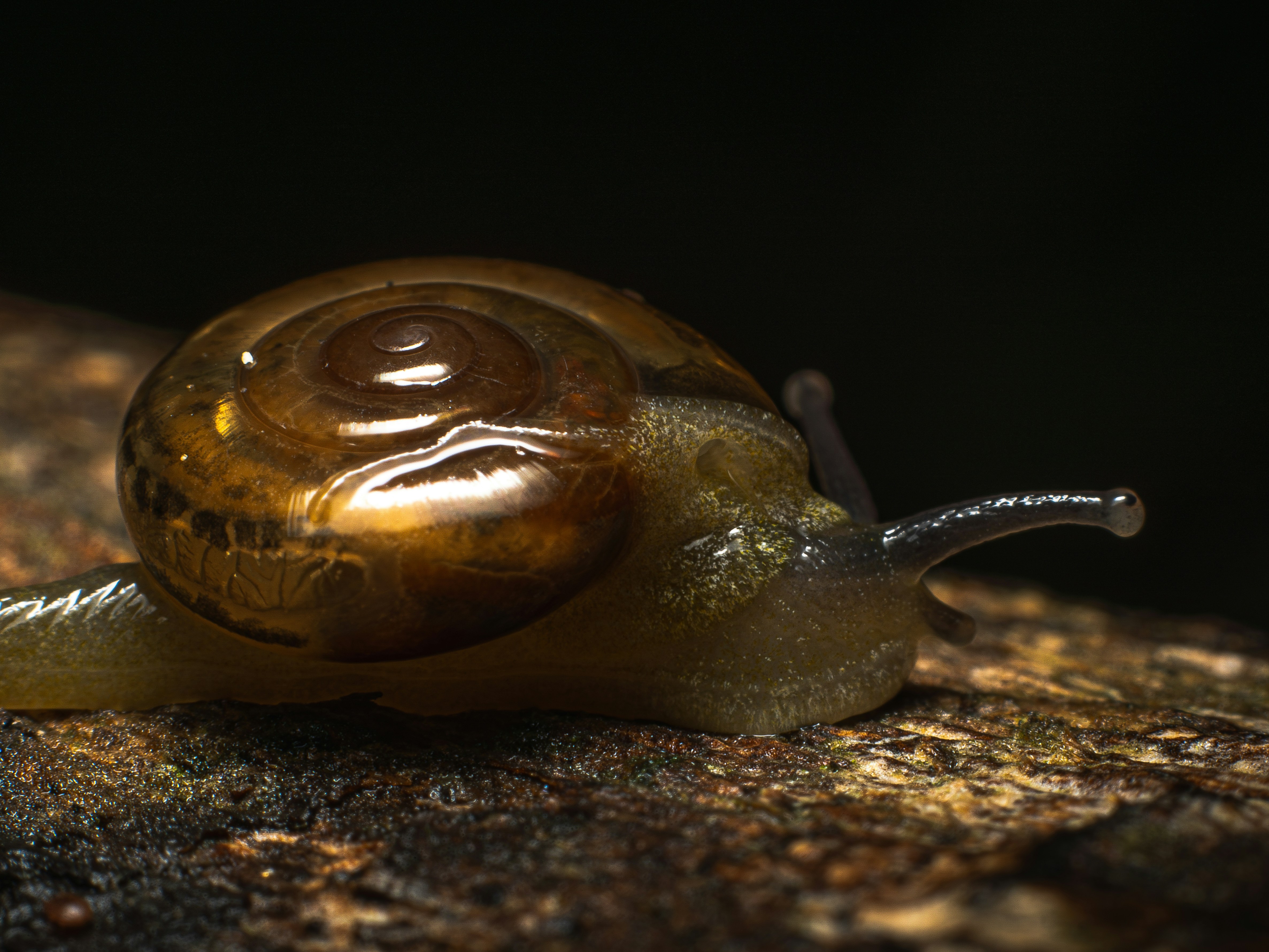 Photo by harshit_suryawanshi