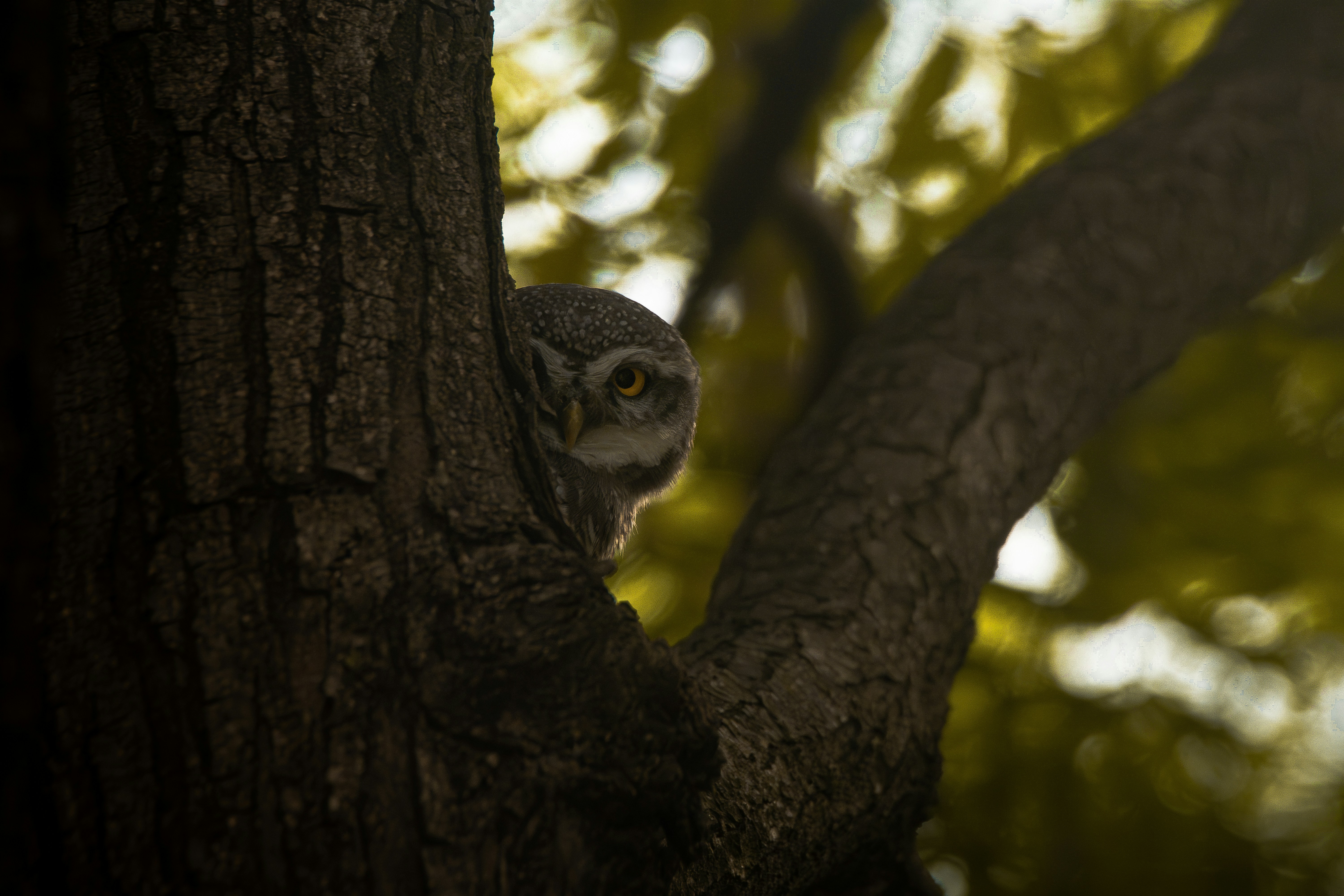 Photo by harshit_suryawanshi