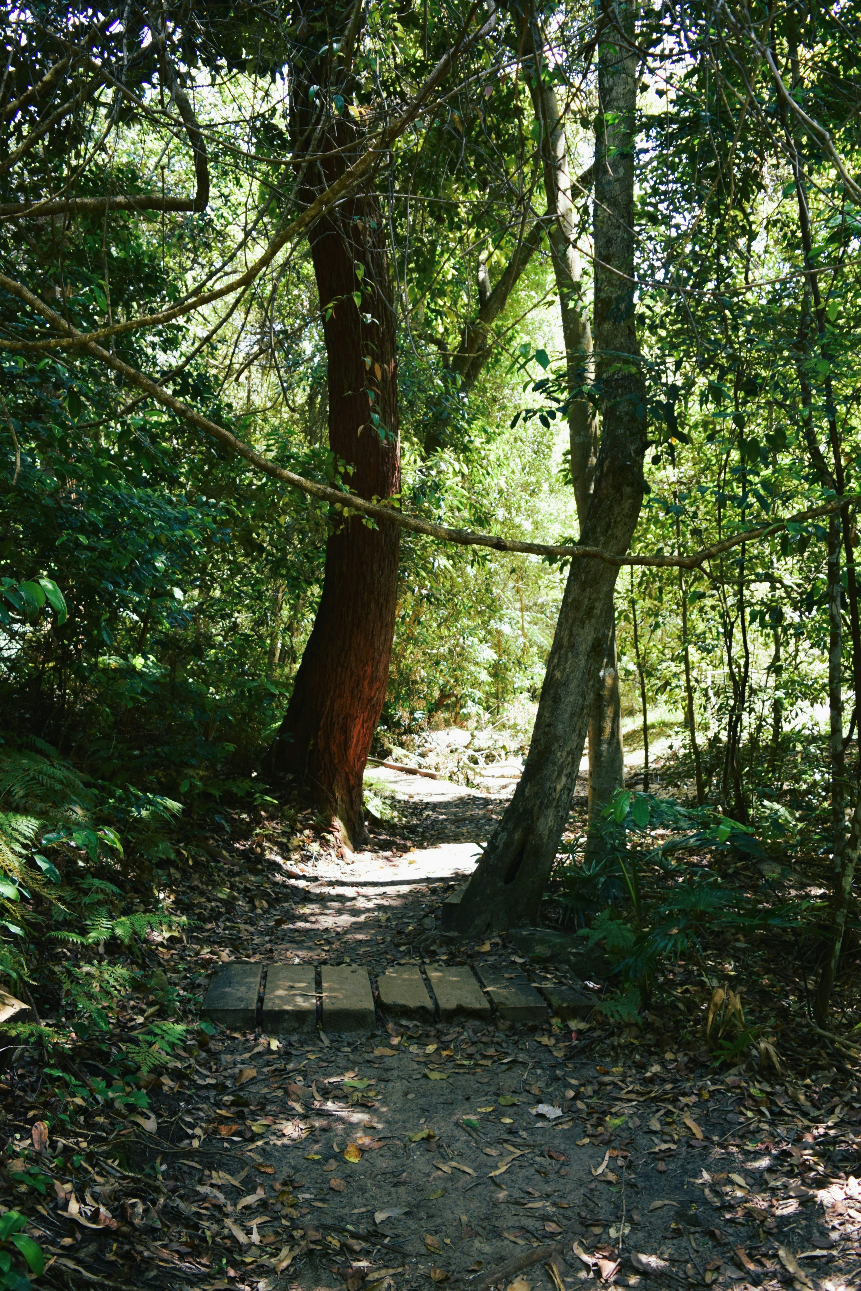 Photo by ch_photography