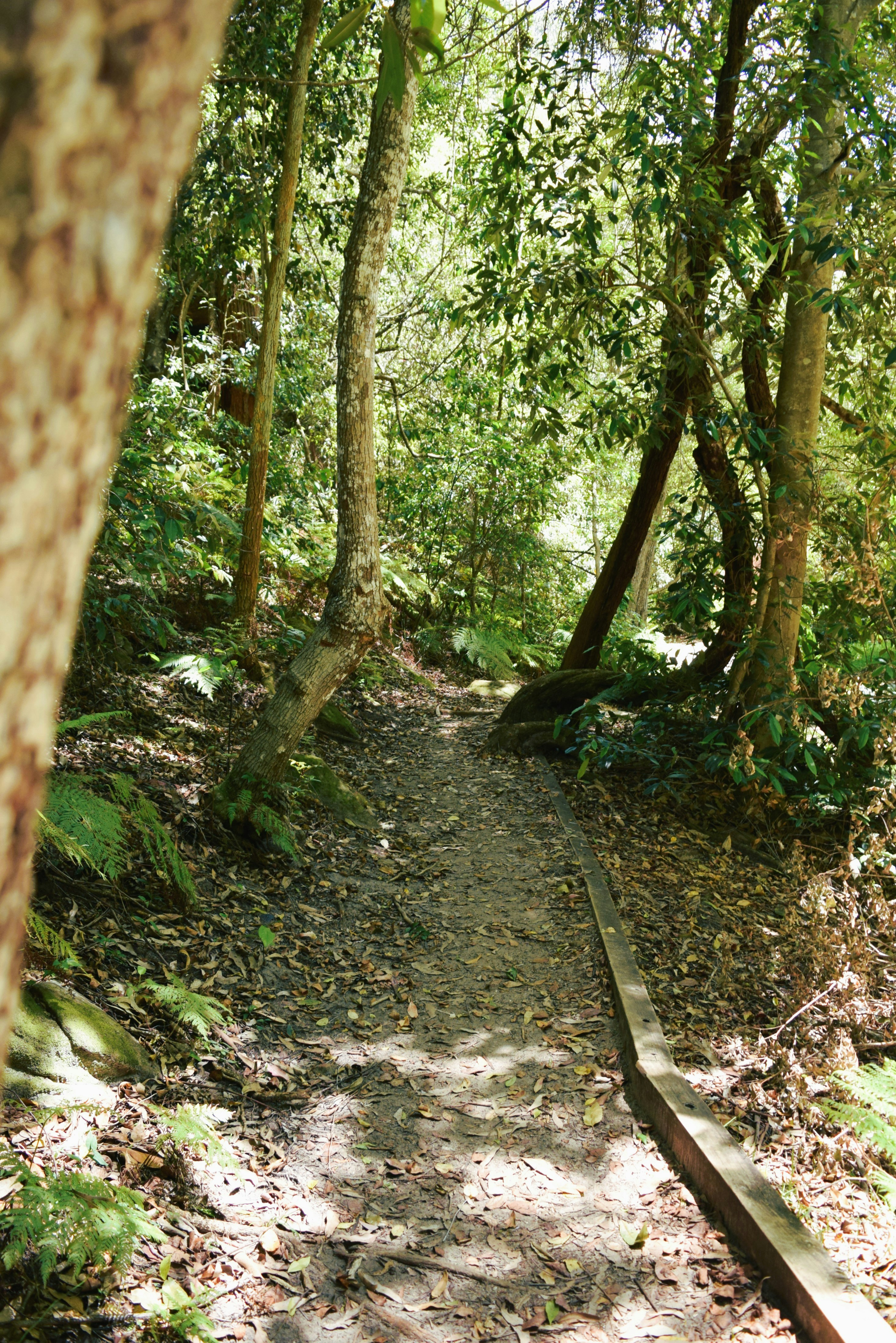 Photo by ch_photography