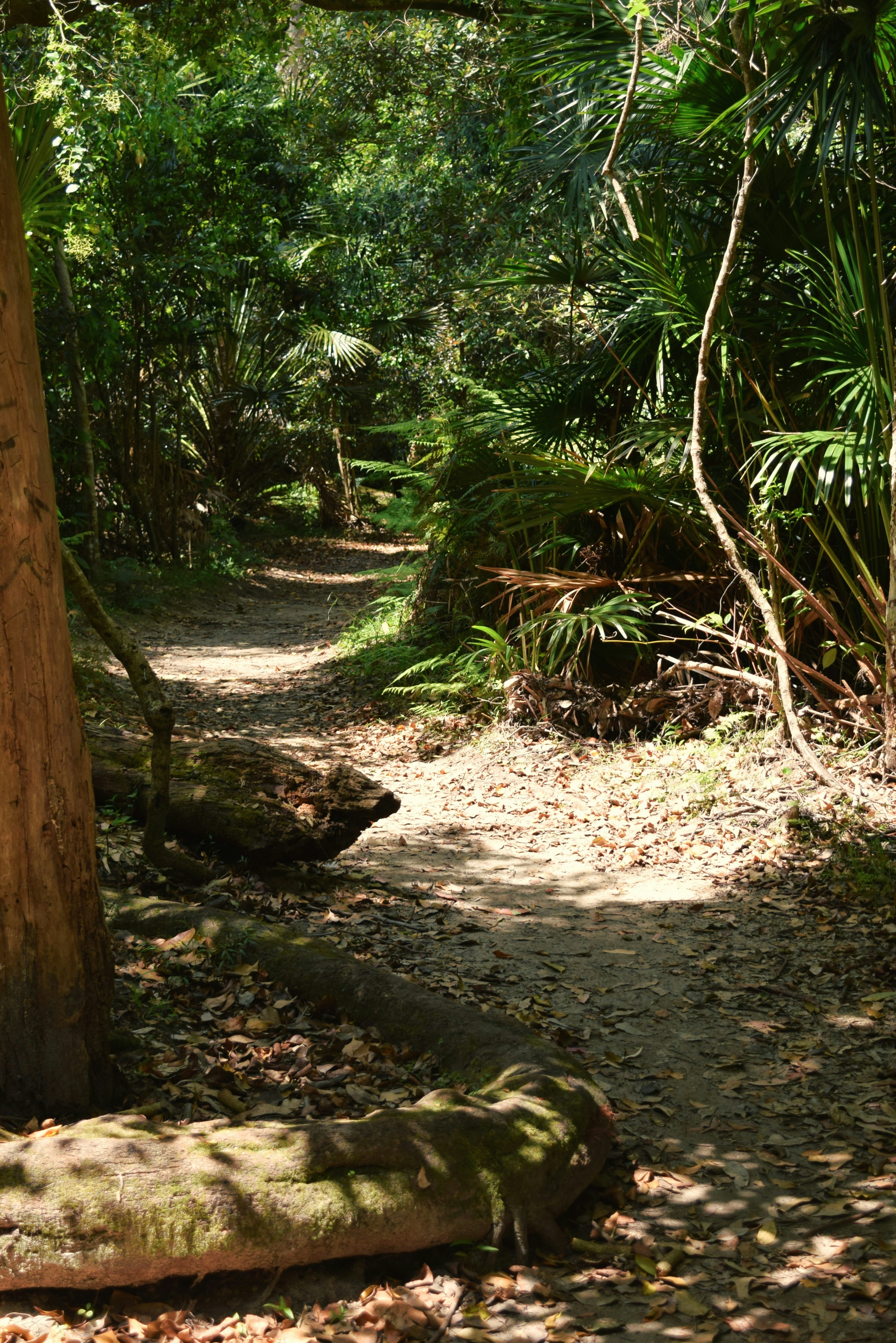 Photo by ch_photography