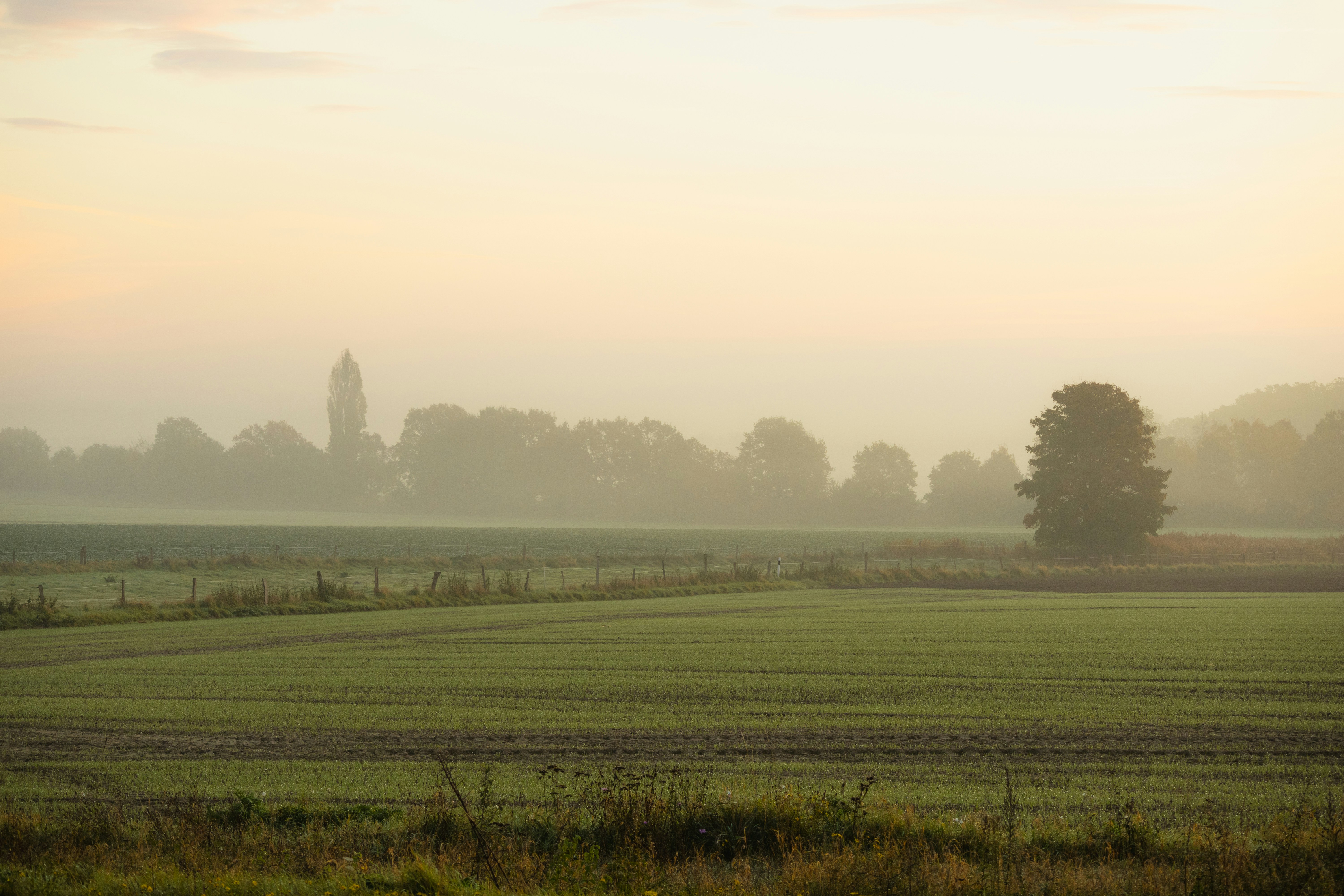 Photo by marko_lengyel