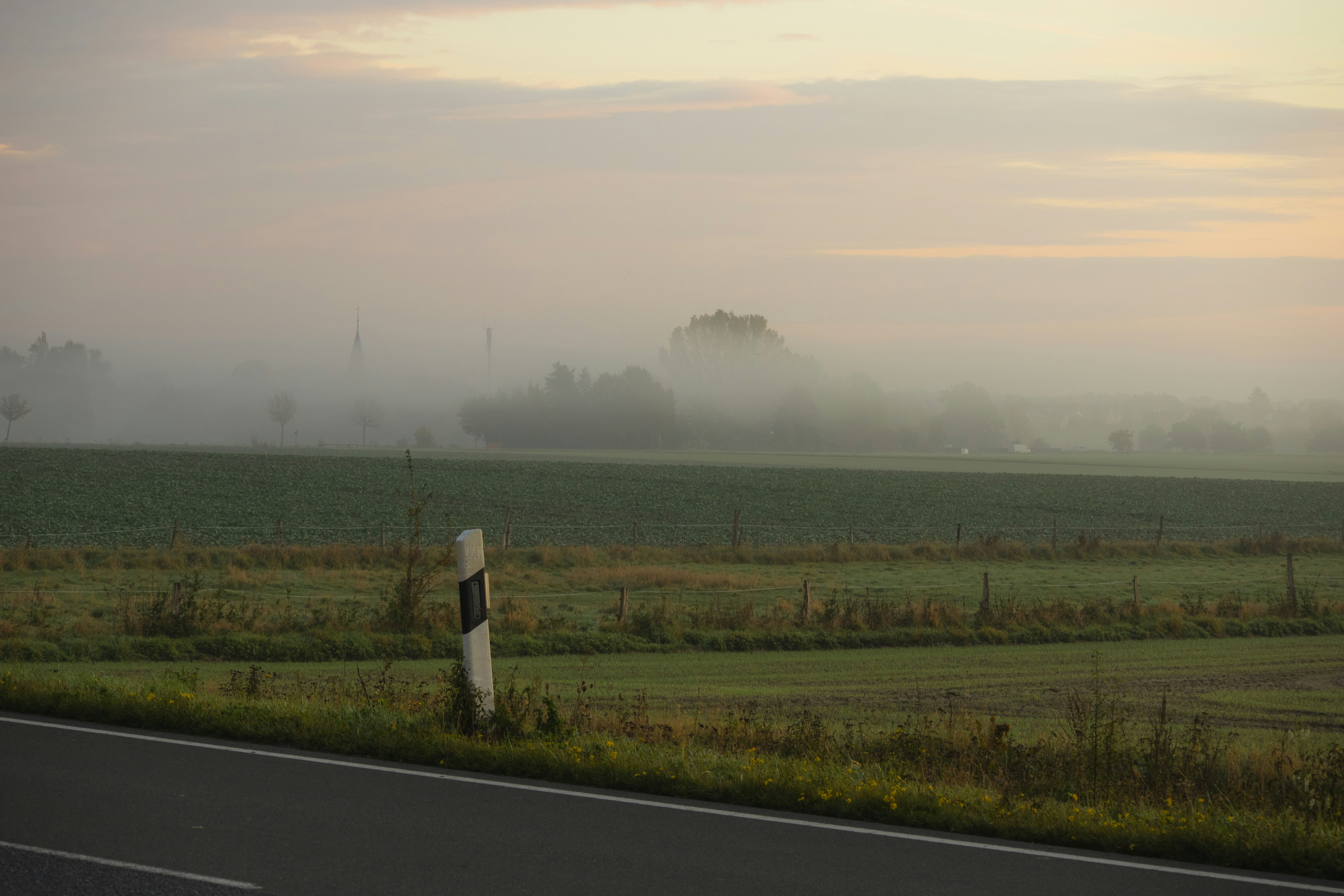 A foggy road with a sign in the foreground