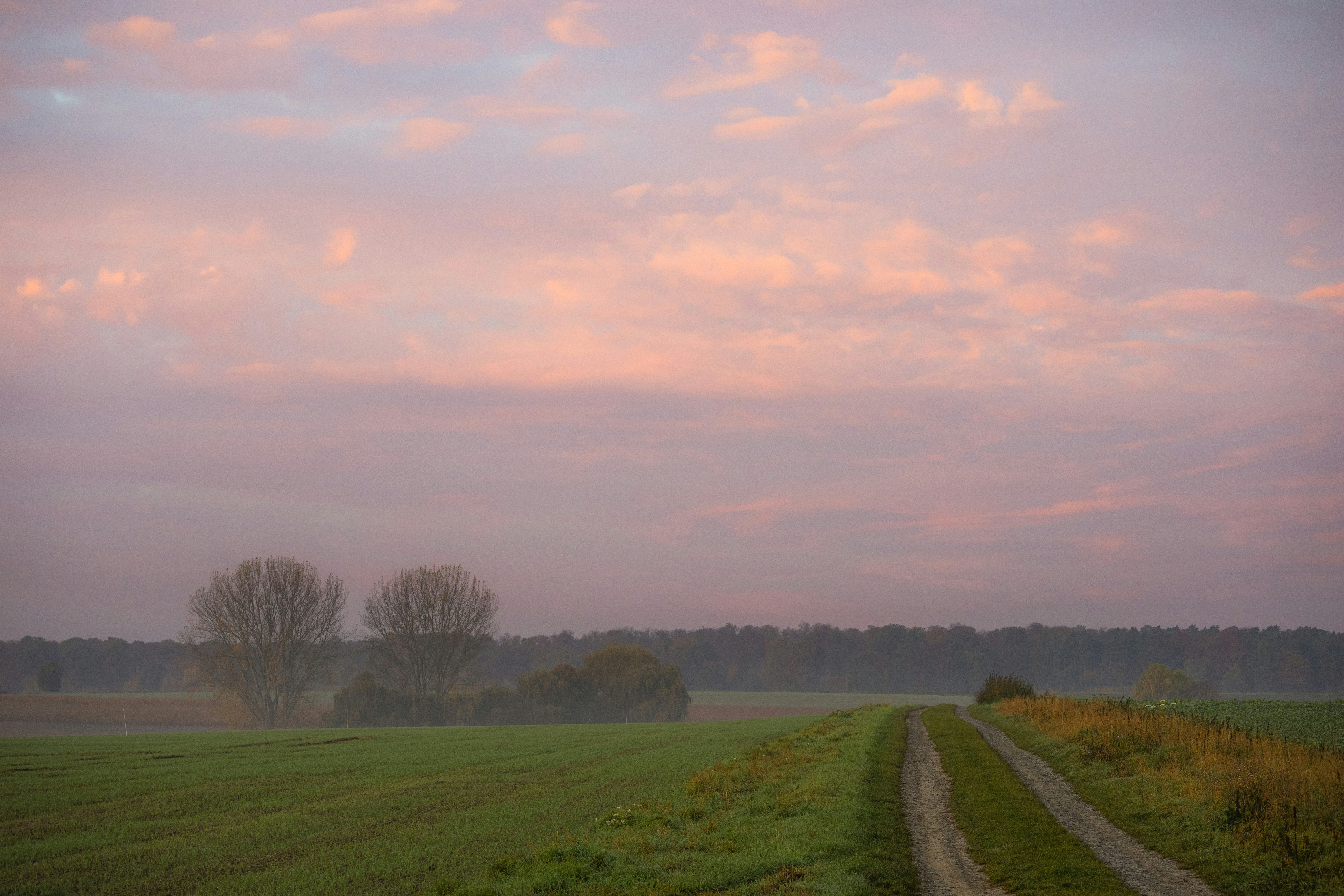 Photo by marko_lengyel