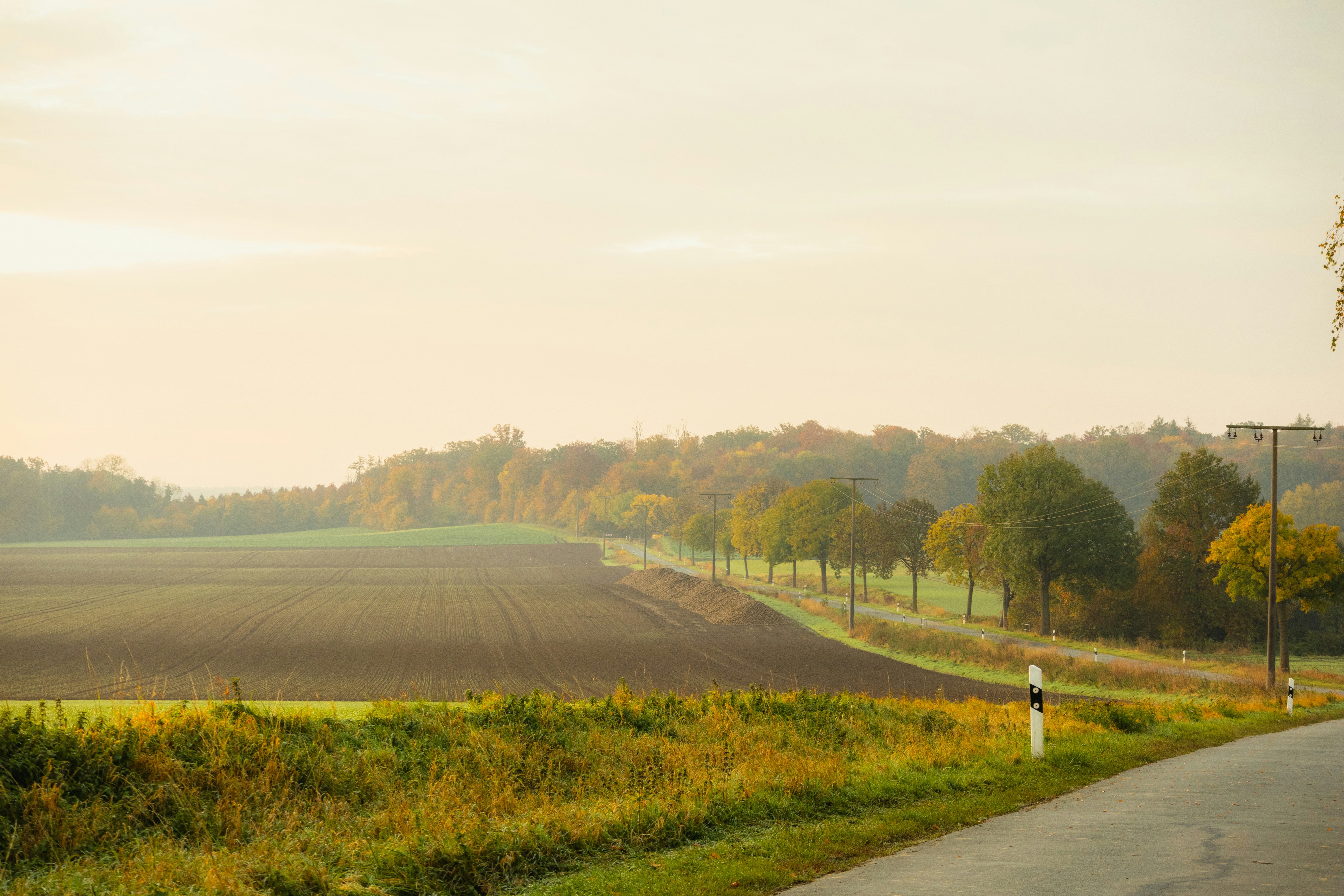 Photo by marko_lengyel