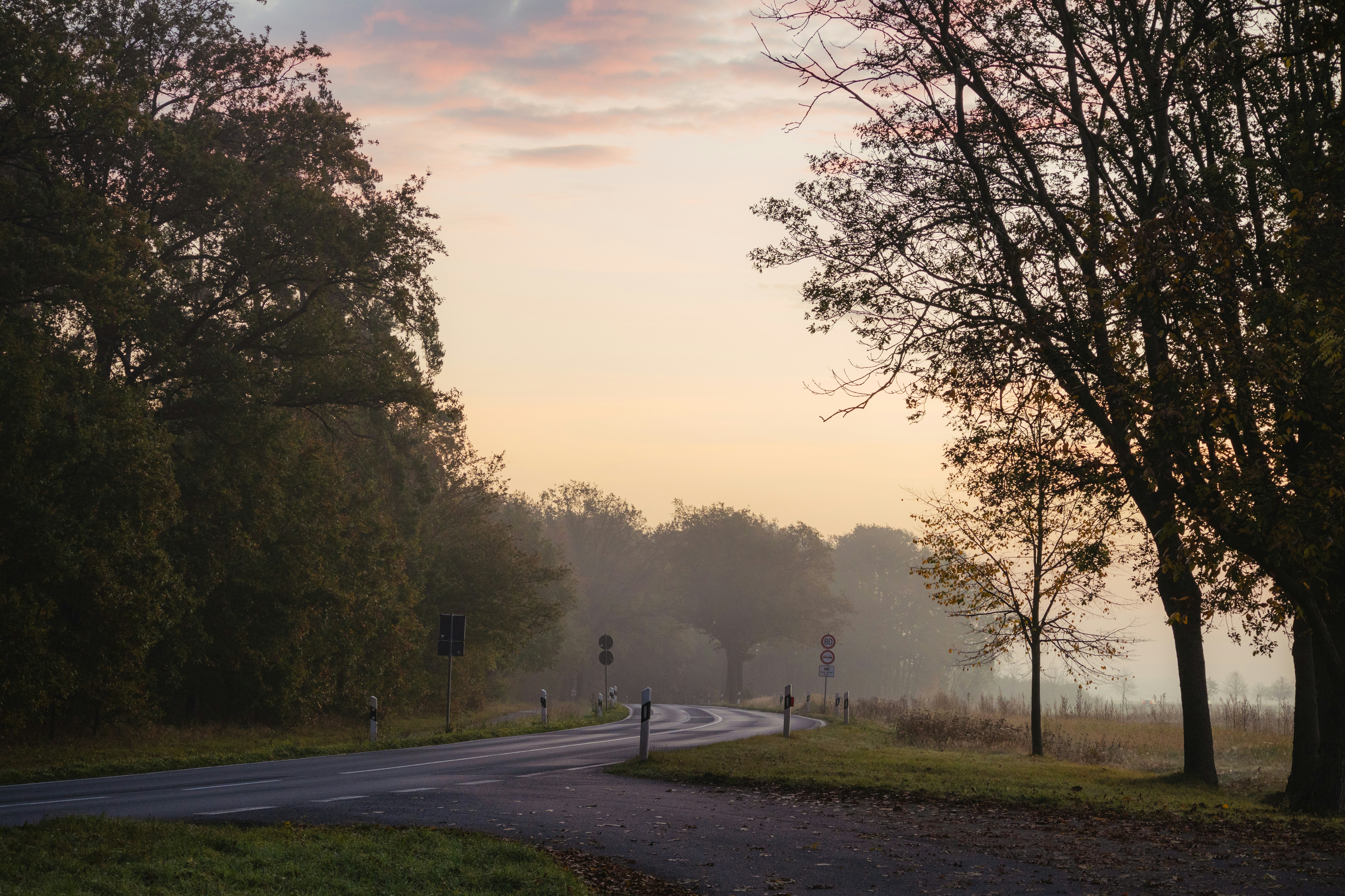 Photo by marko_lengyel