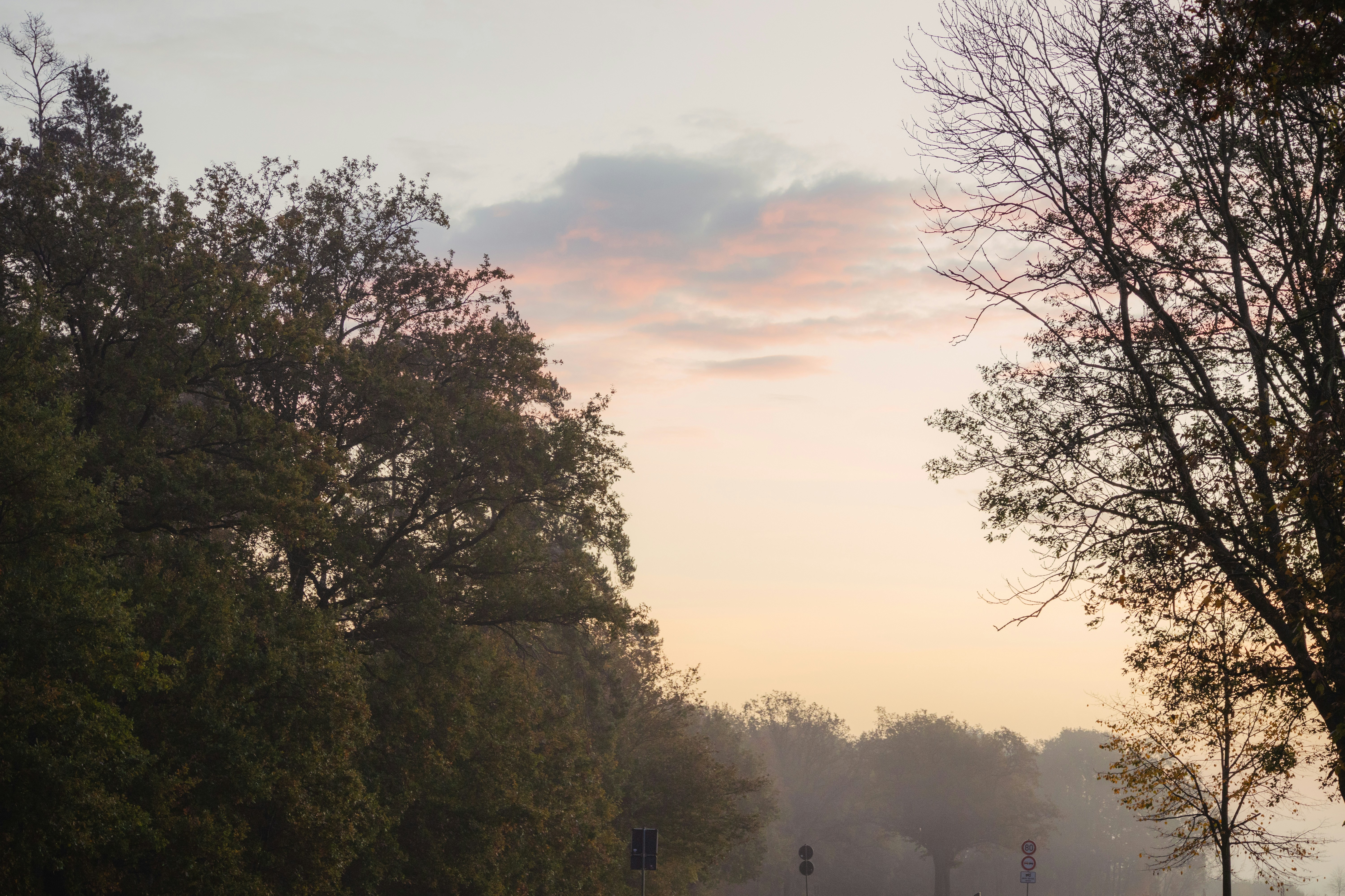 Photo by marko_lengyel