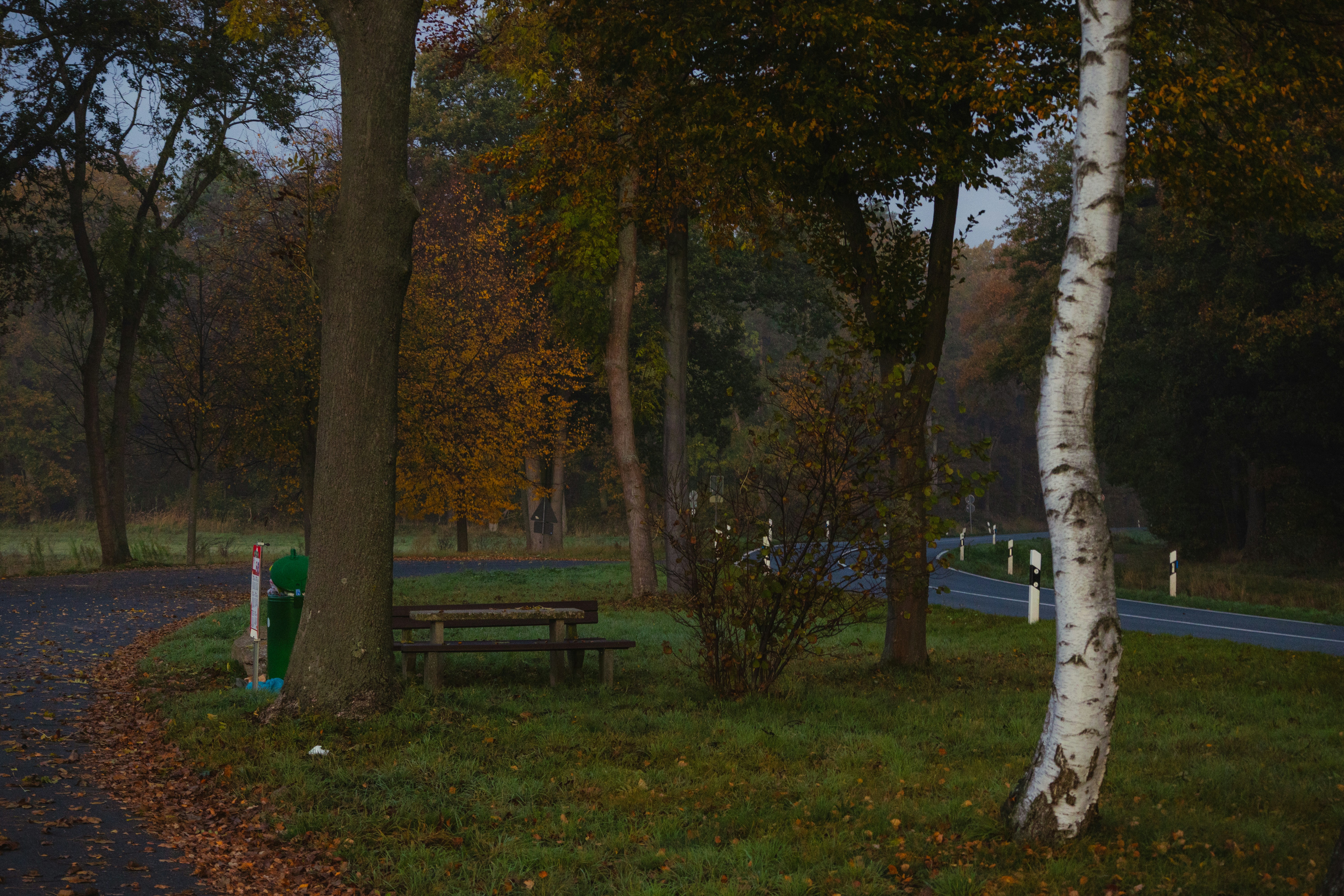 Photo by marko_lengyel