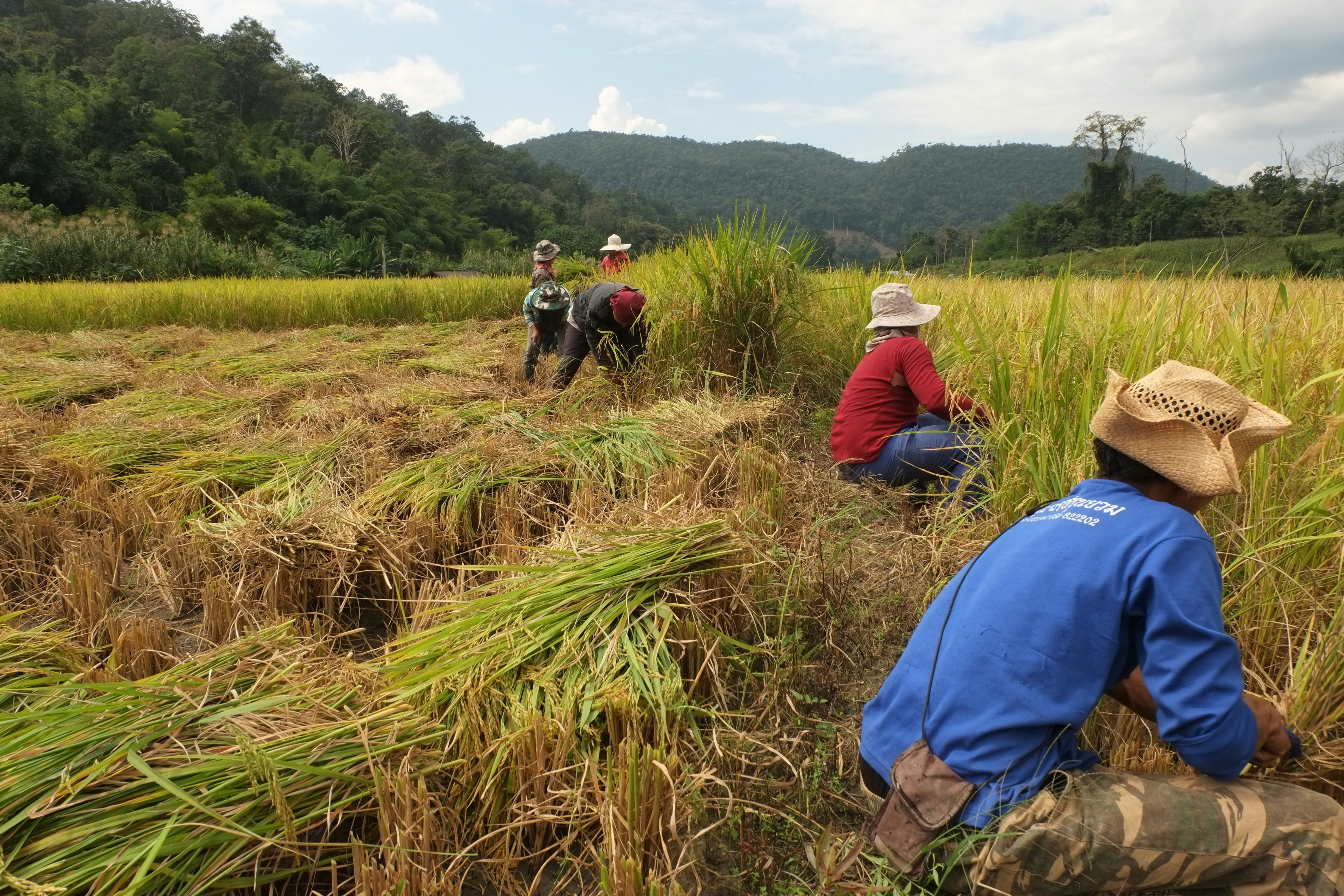 Photo by boudewijn_huysmans