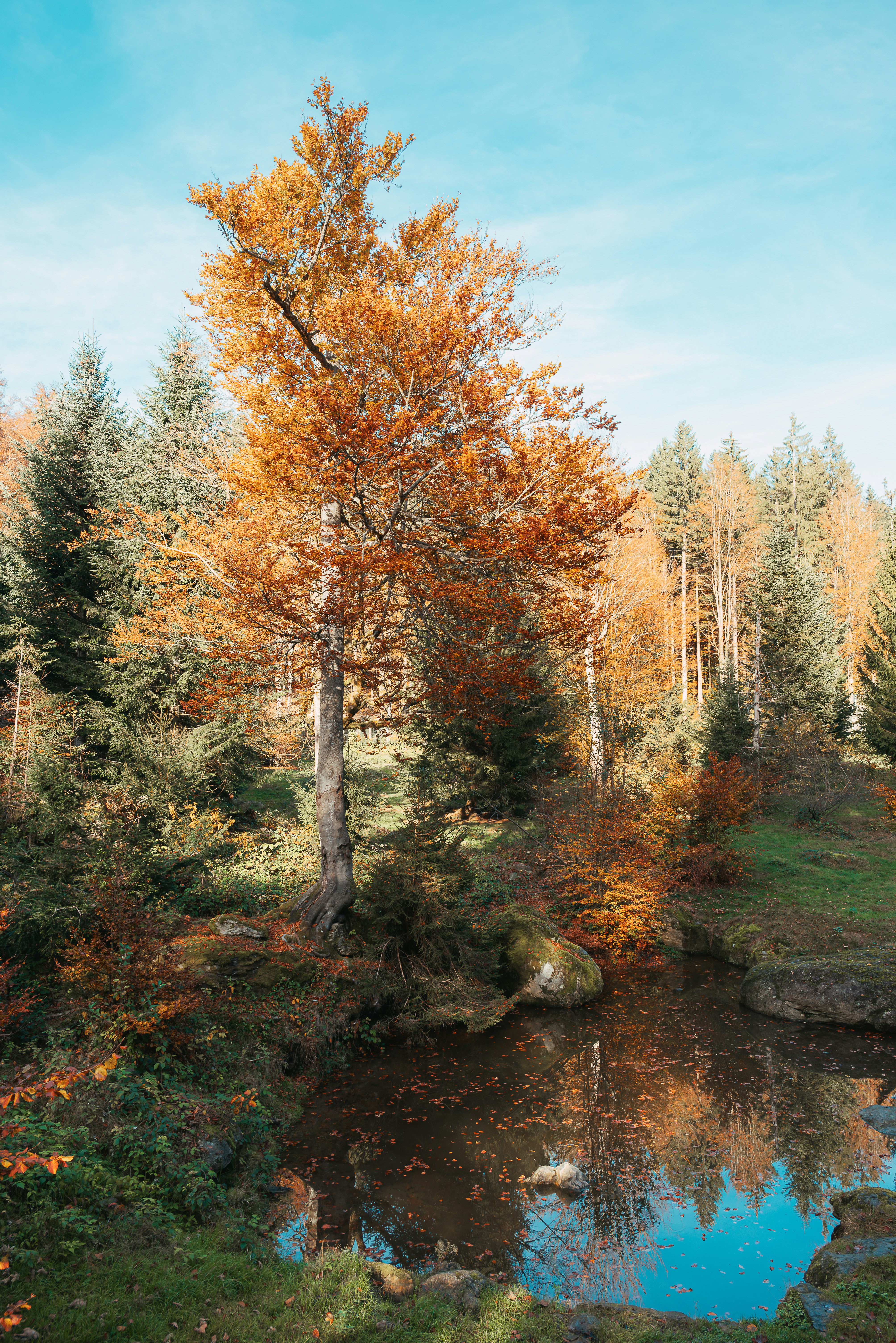 Photo by jetztabertempo