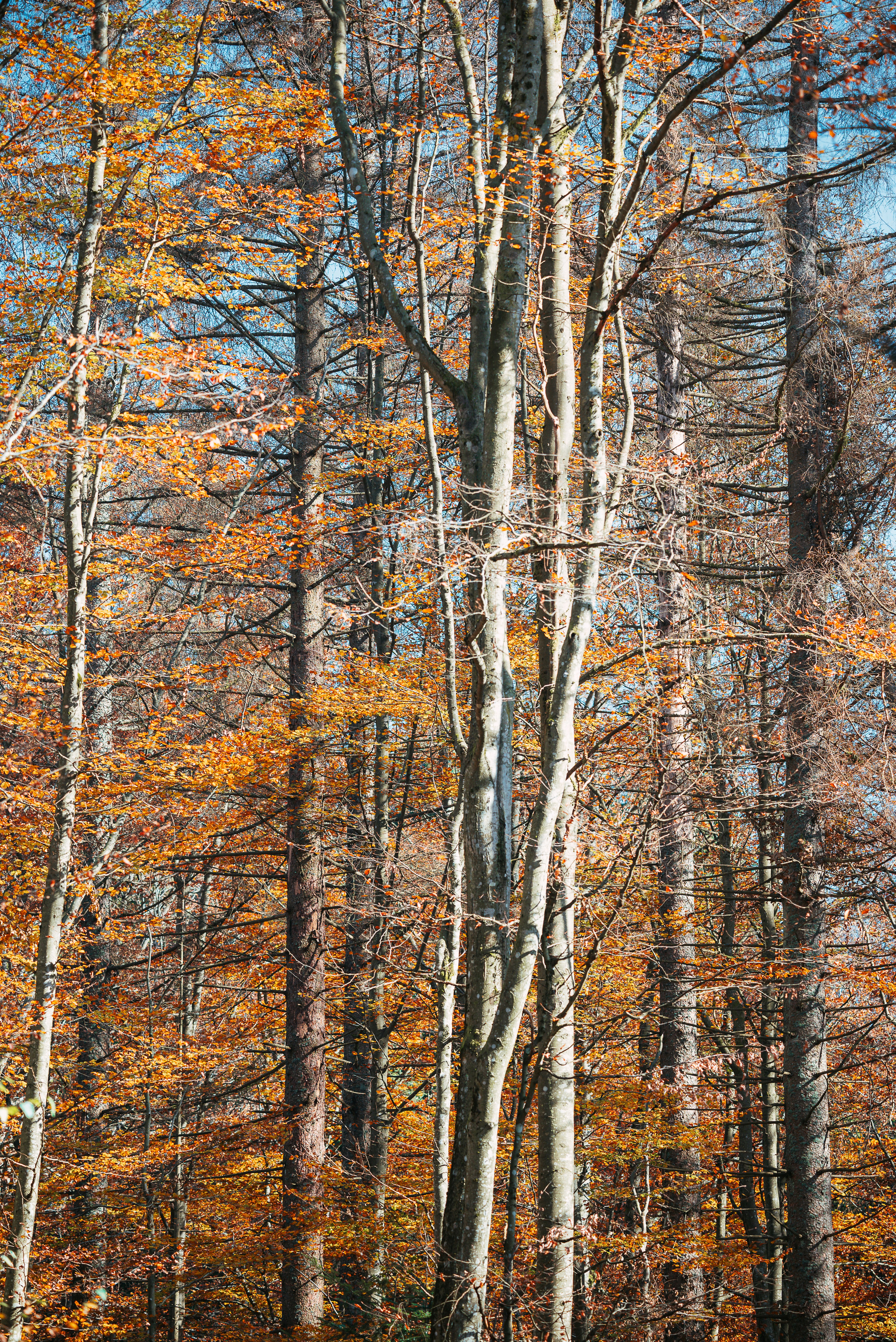Photo by jetztabertempo