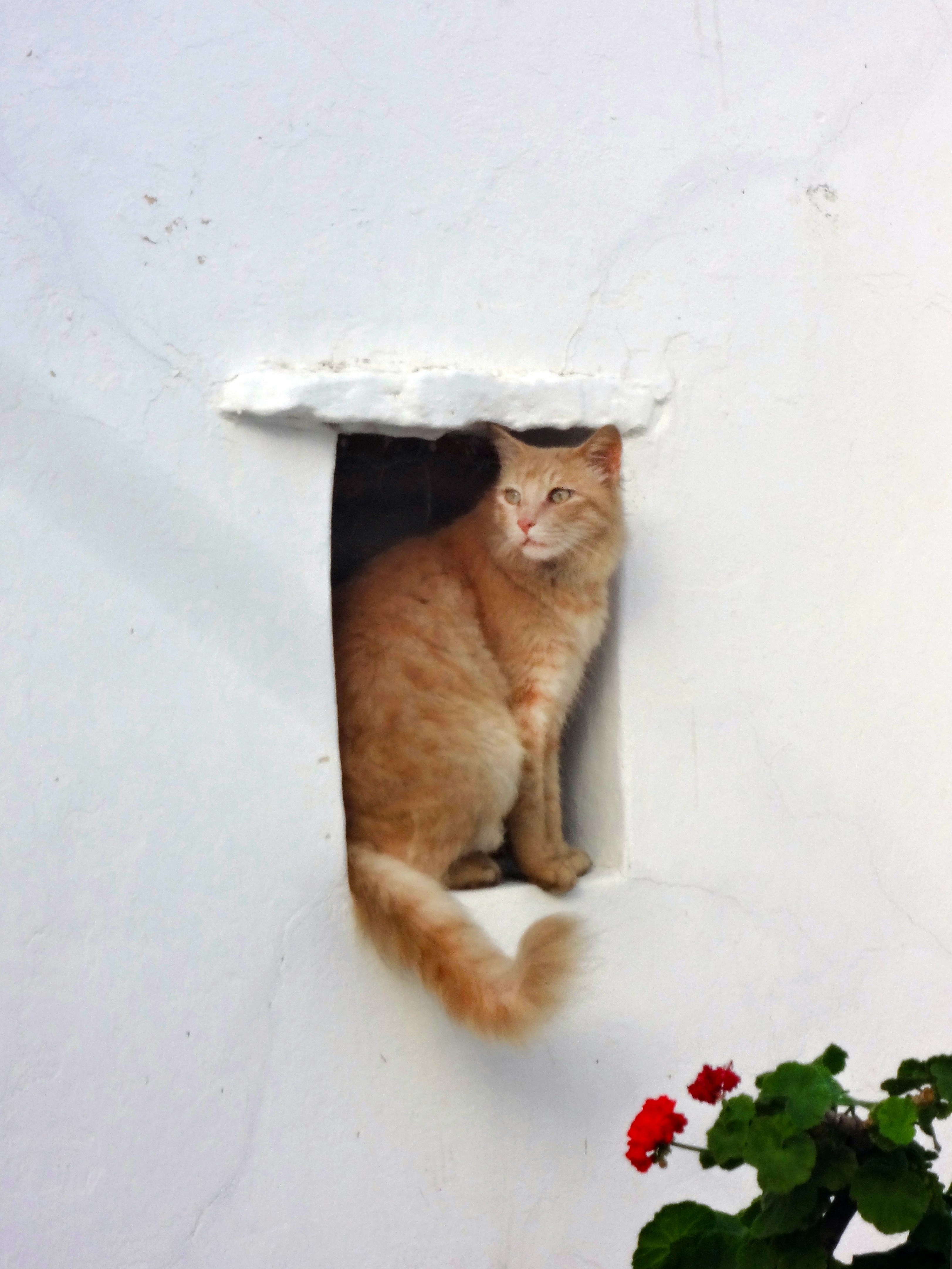 Creating Cozy Hideaways Shows You Understand Their Needs (image credits: unsplash)