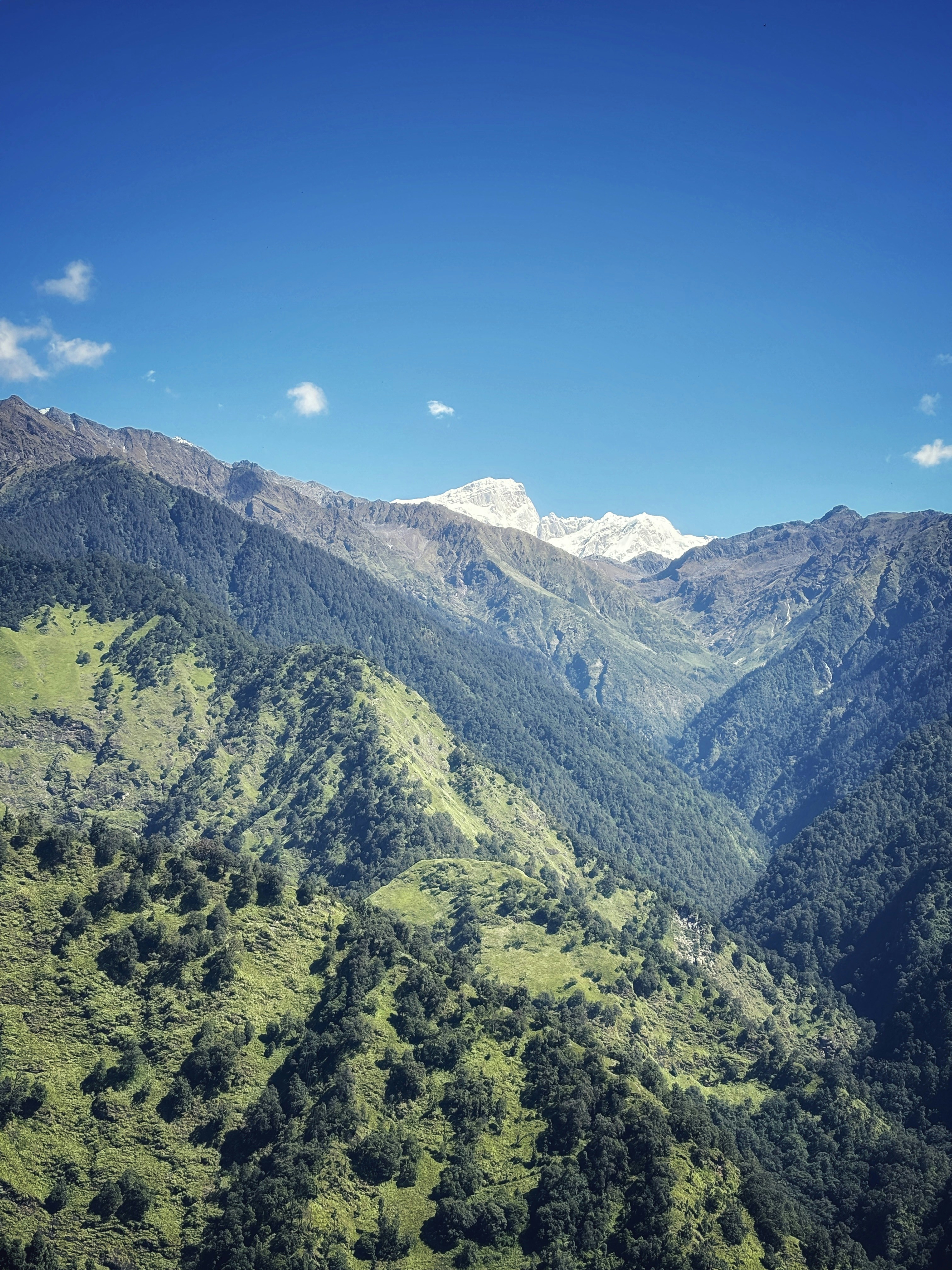 Photo by neeloriginals