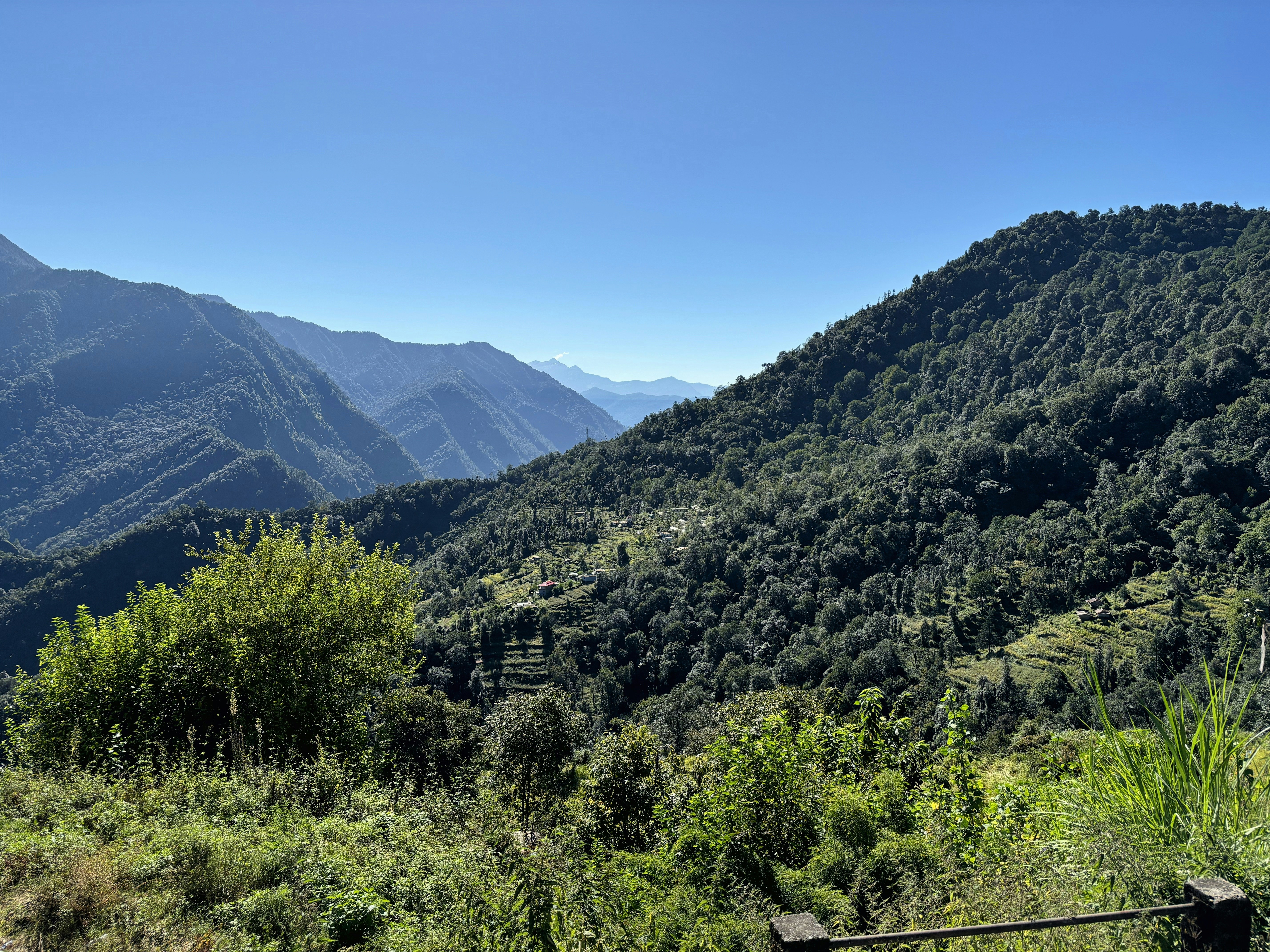 Photo by neeloriginals