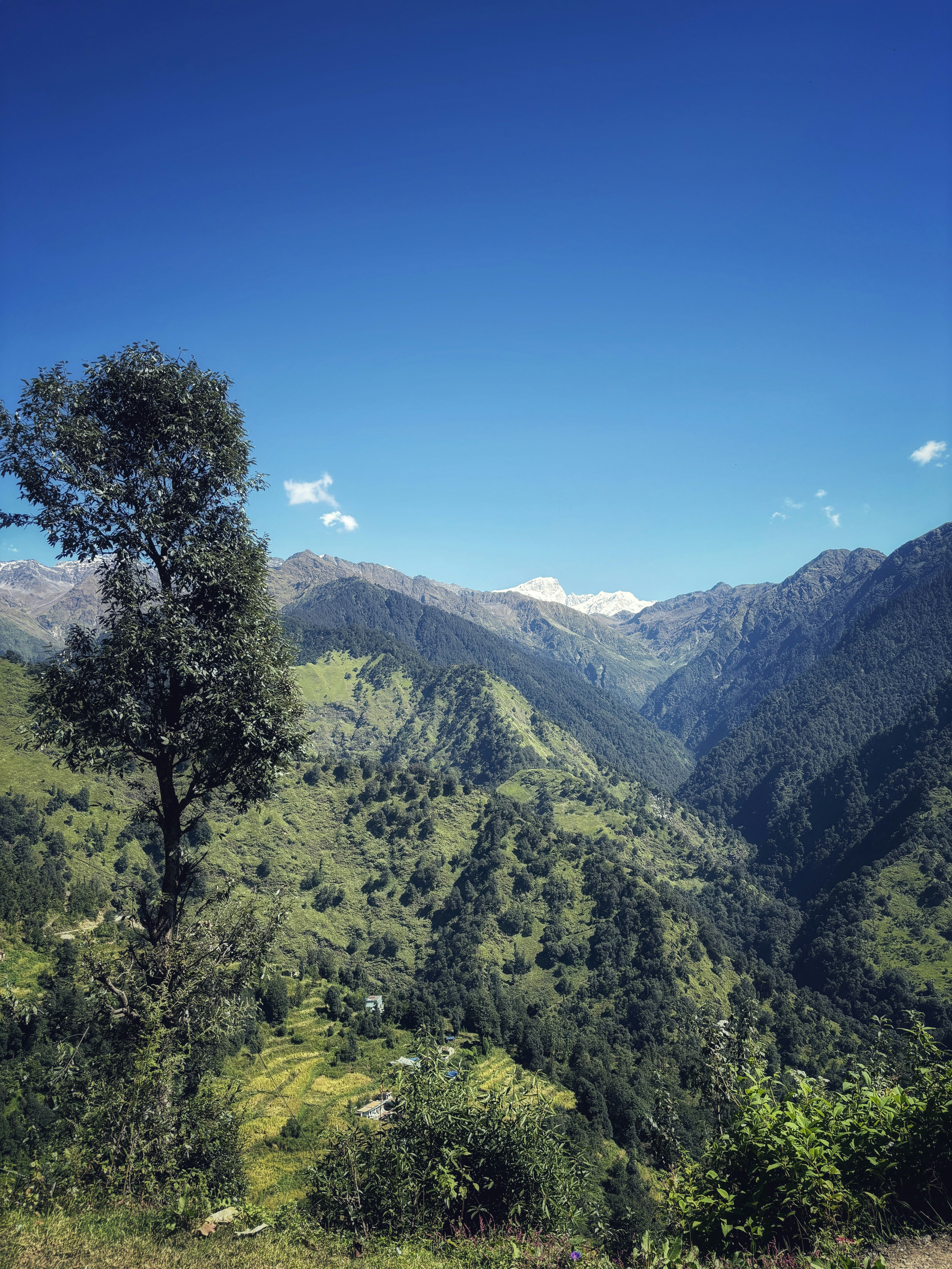 Photo by neeloriginals