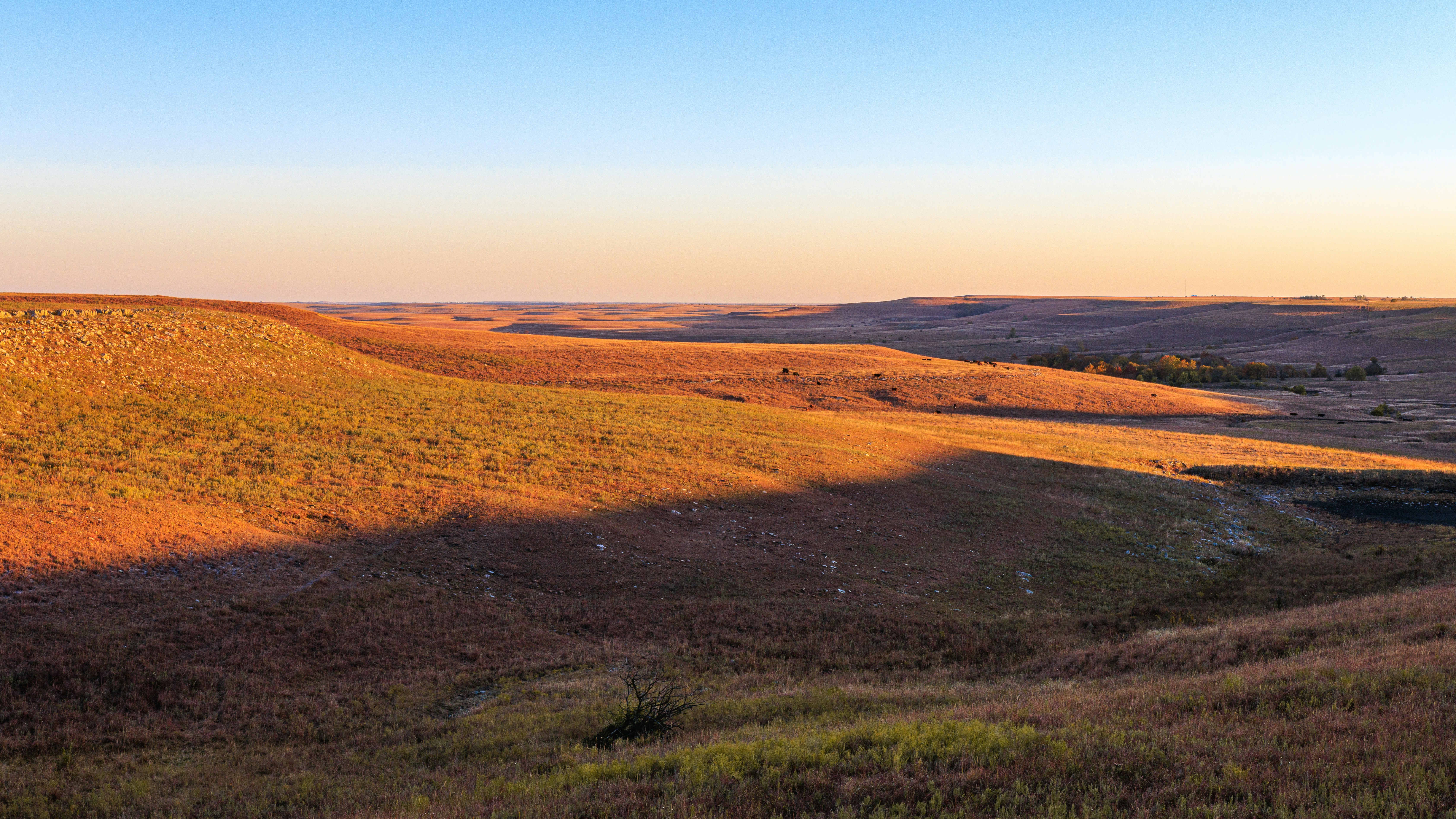 Photo by samdasherx13