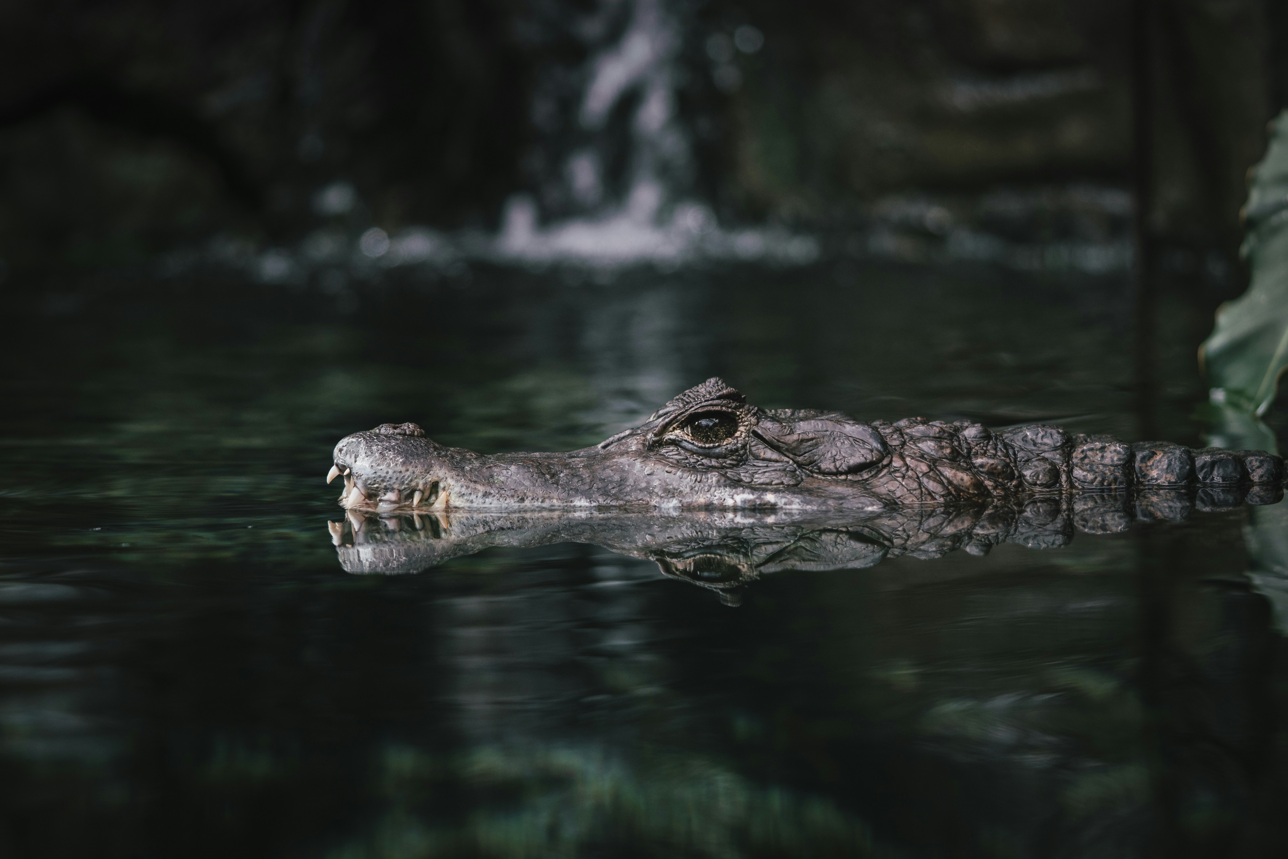 연말, 건강검진 받기 좋은 시기