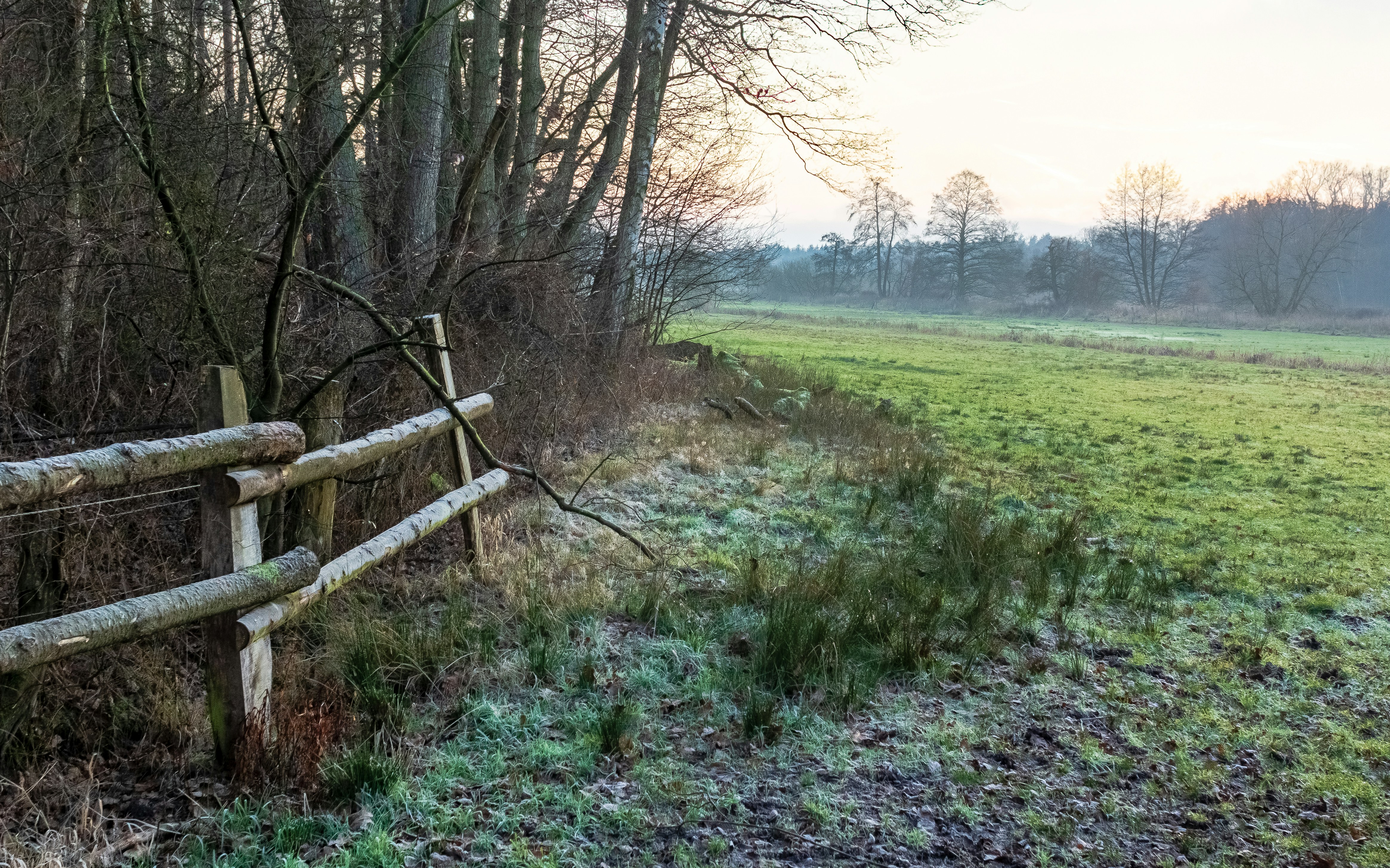 A wooden fence in the middle of a field