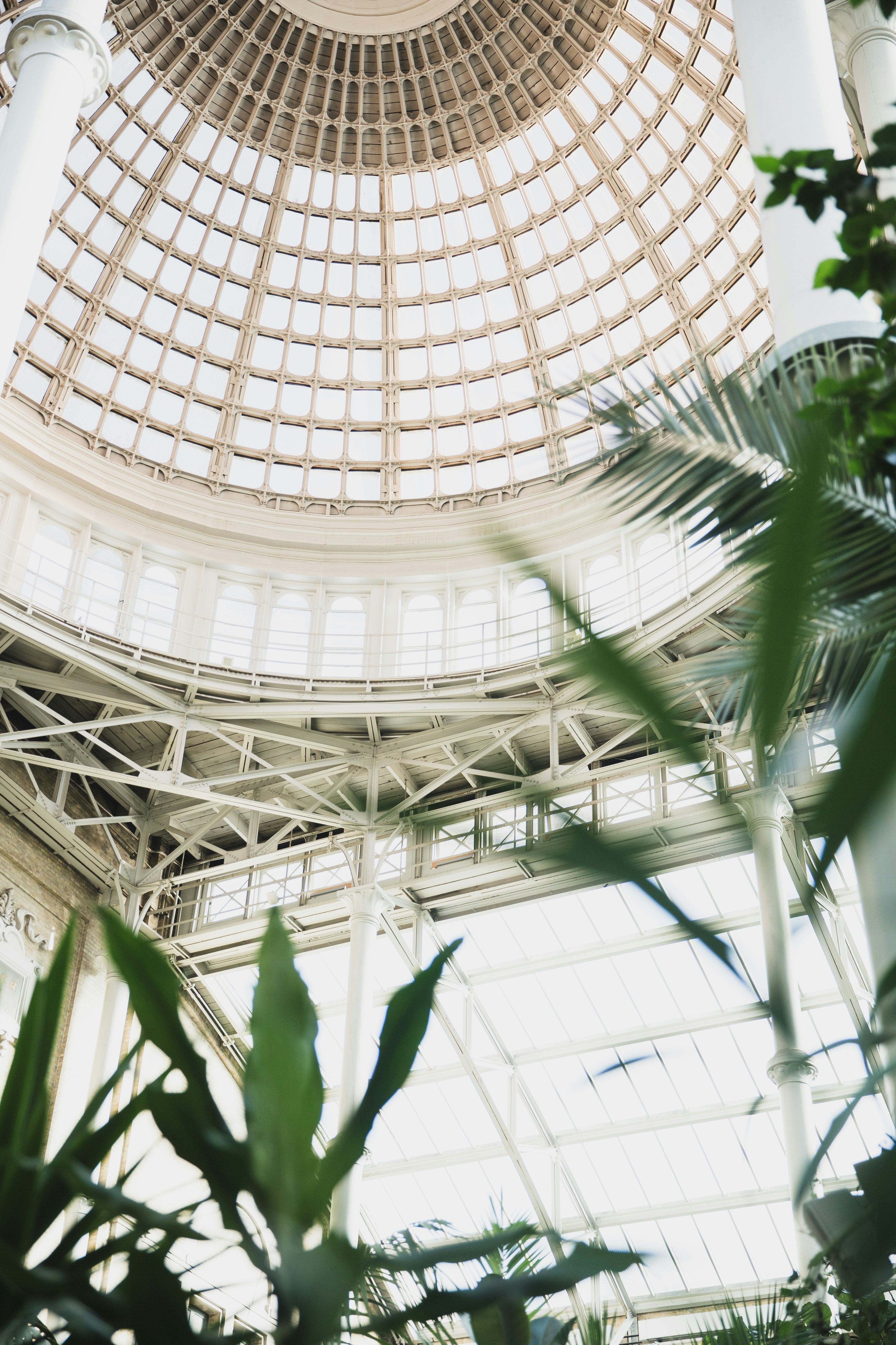 Photo by alisonstardust