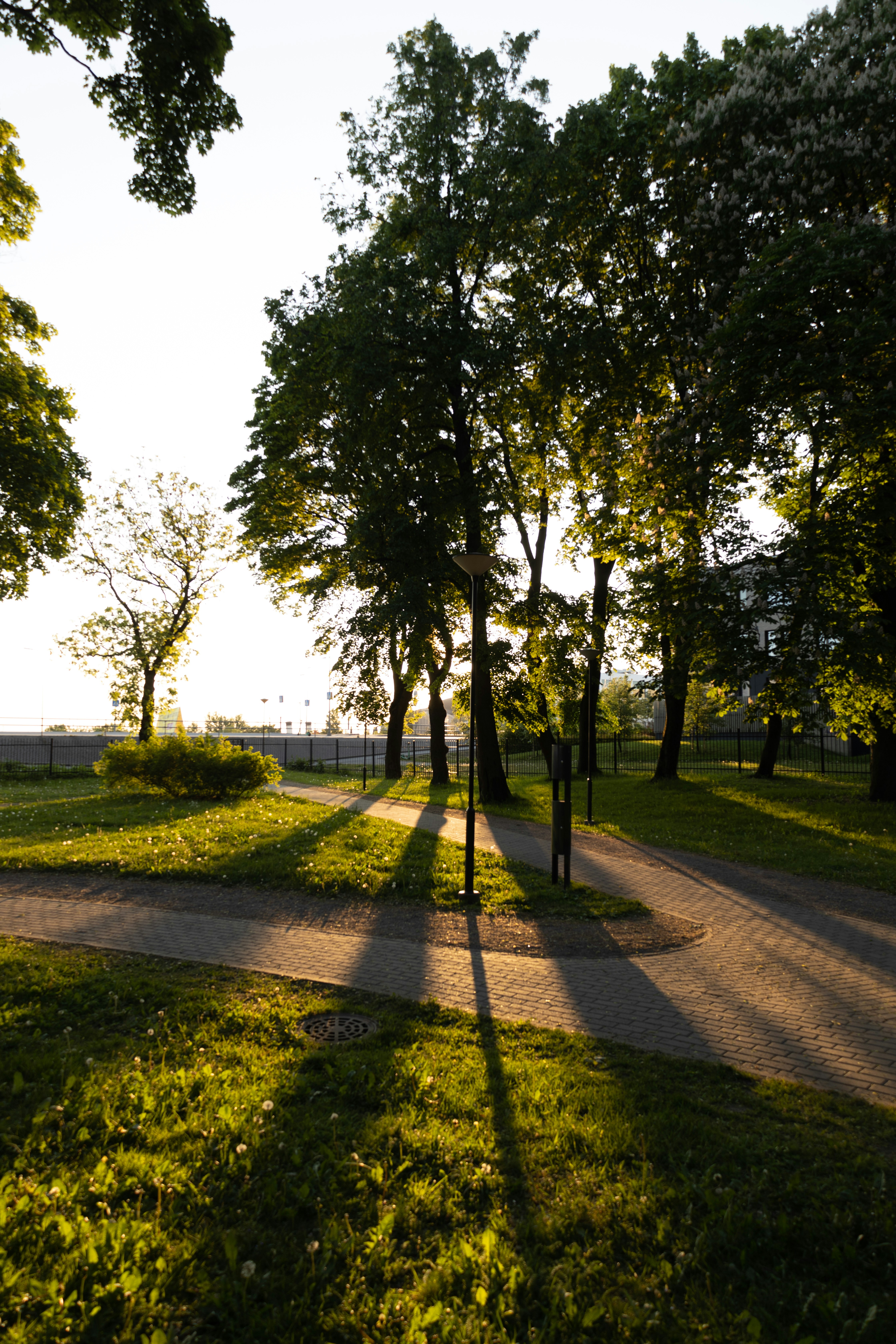 Photo by olena_mariia