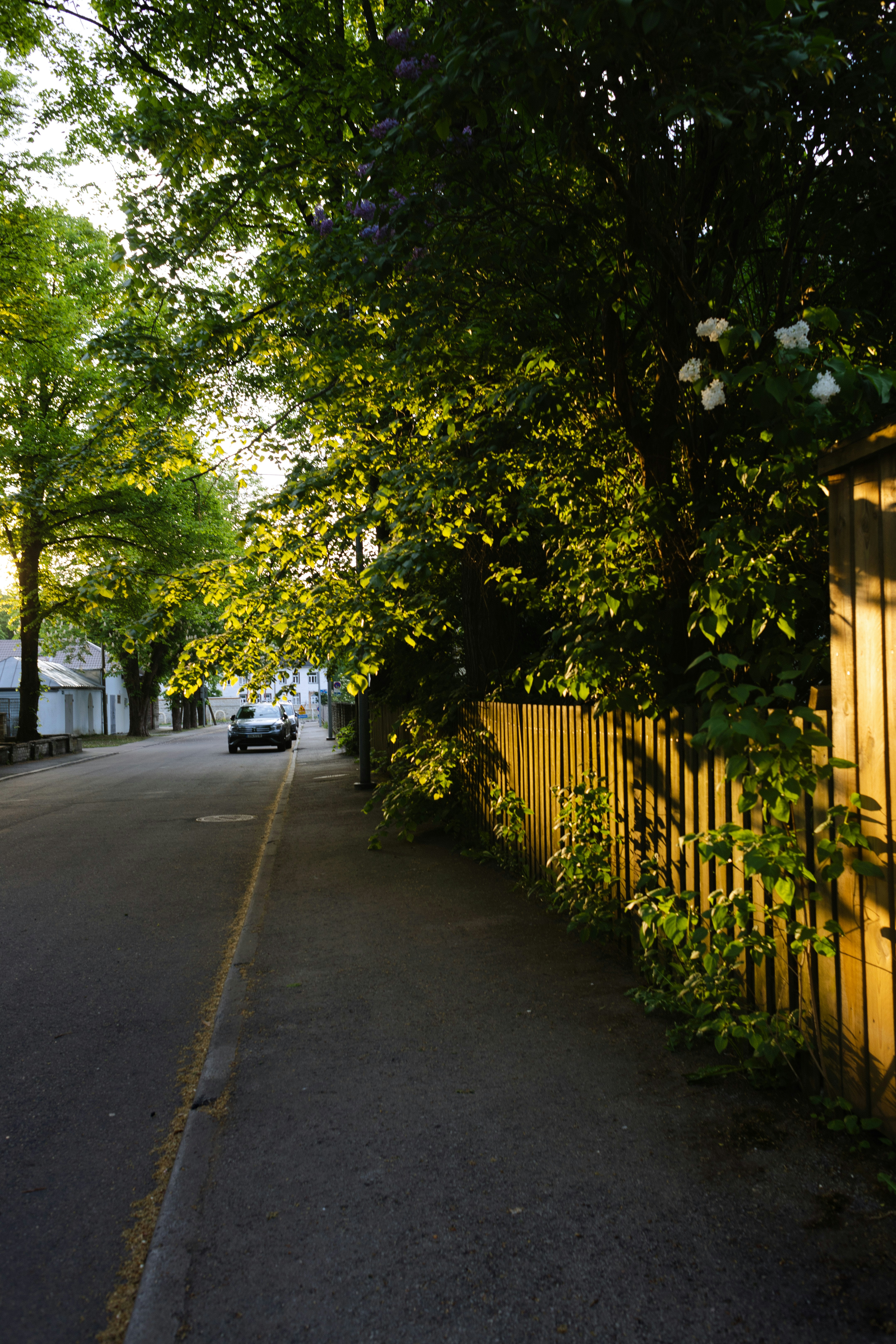 Photo by olena_mariia