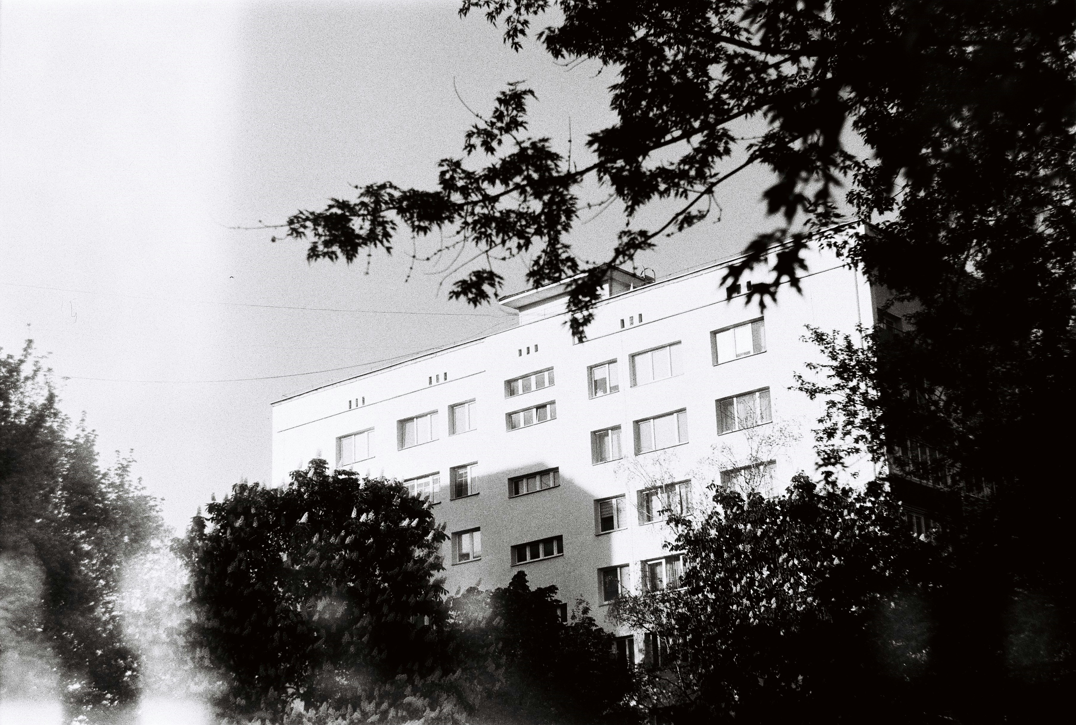 Photo by margaretkester