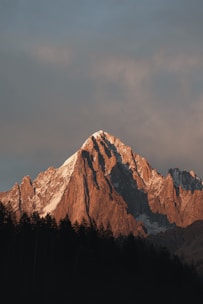 A snow covered mountain with trees in the foreground