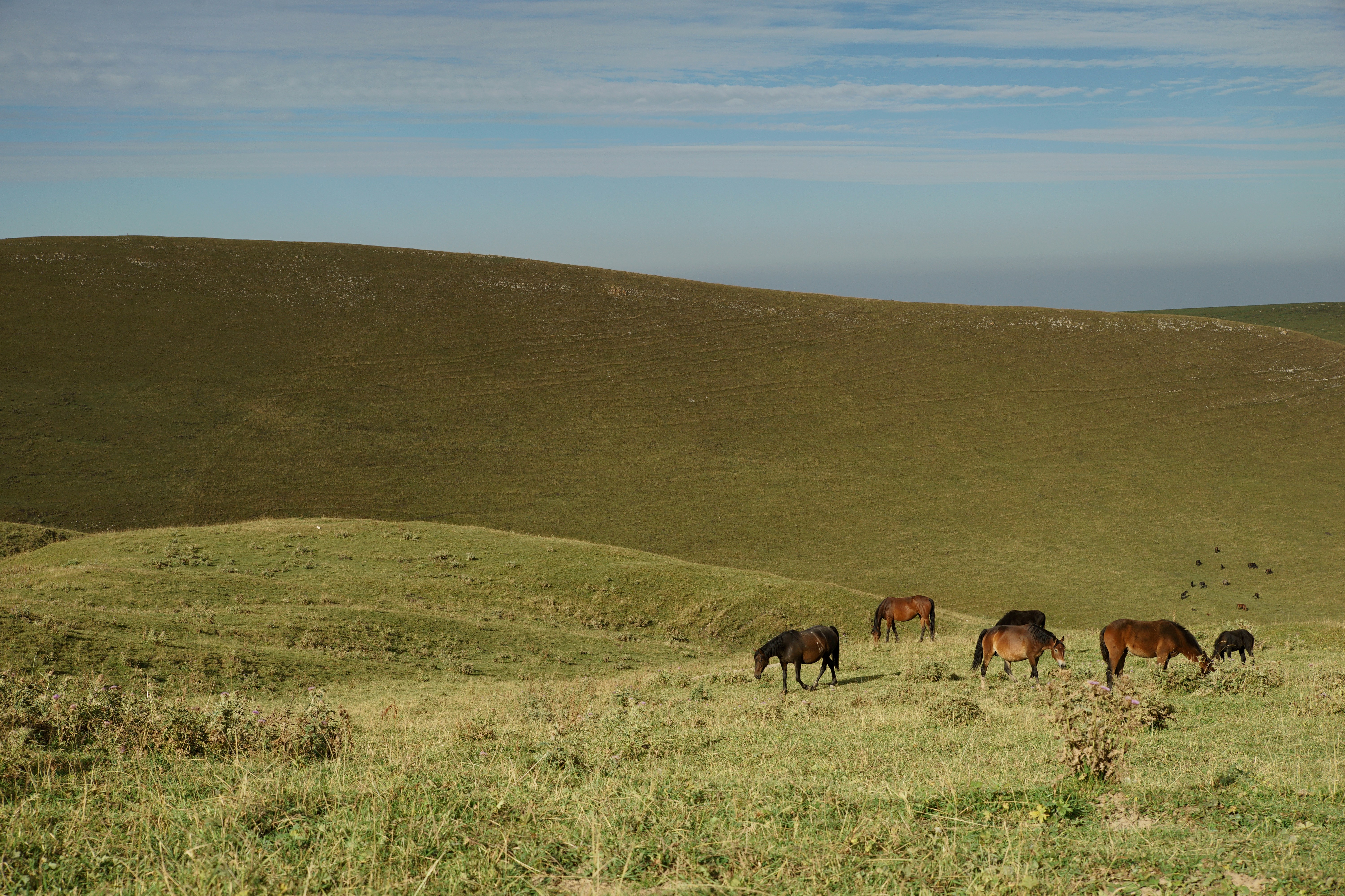 Photo by vadim_shevyrin