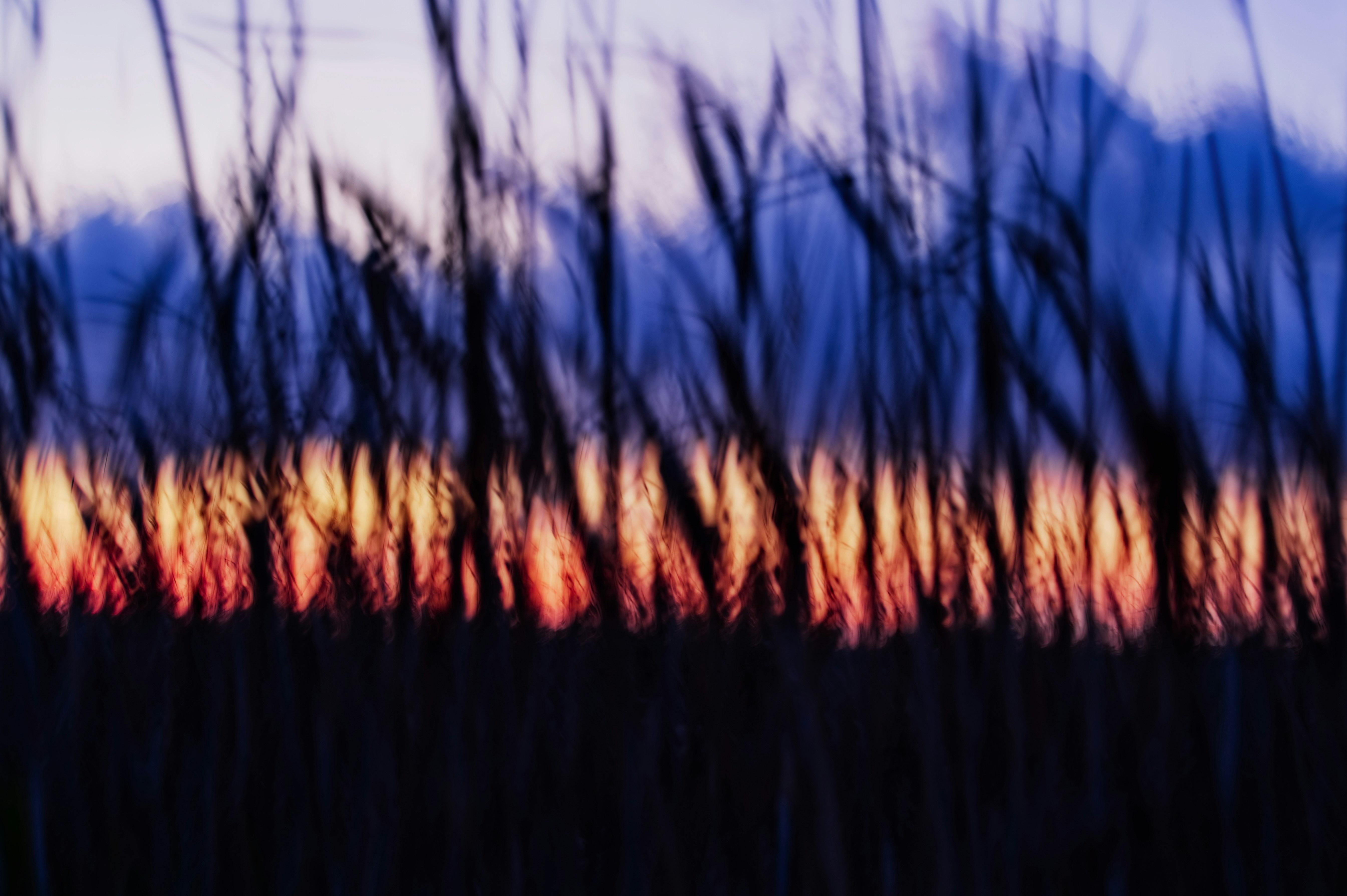 Photo by robert_clark