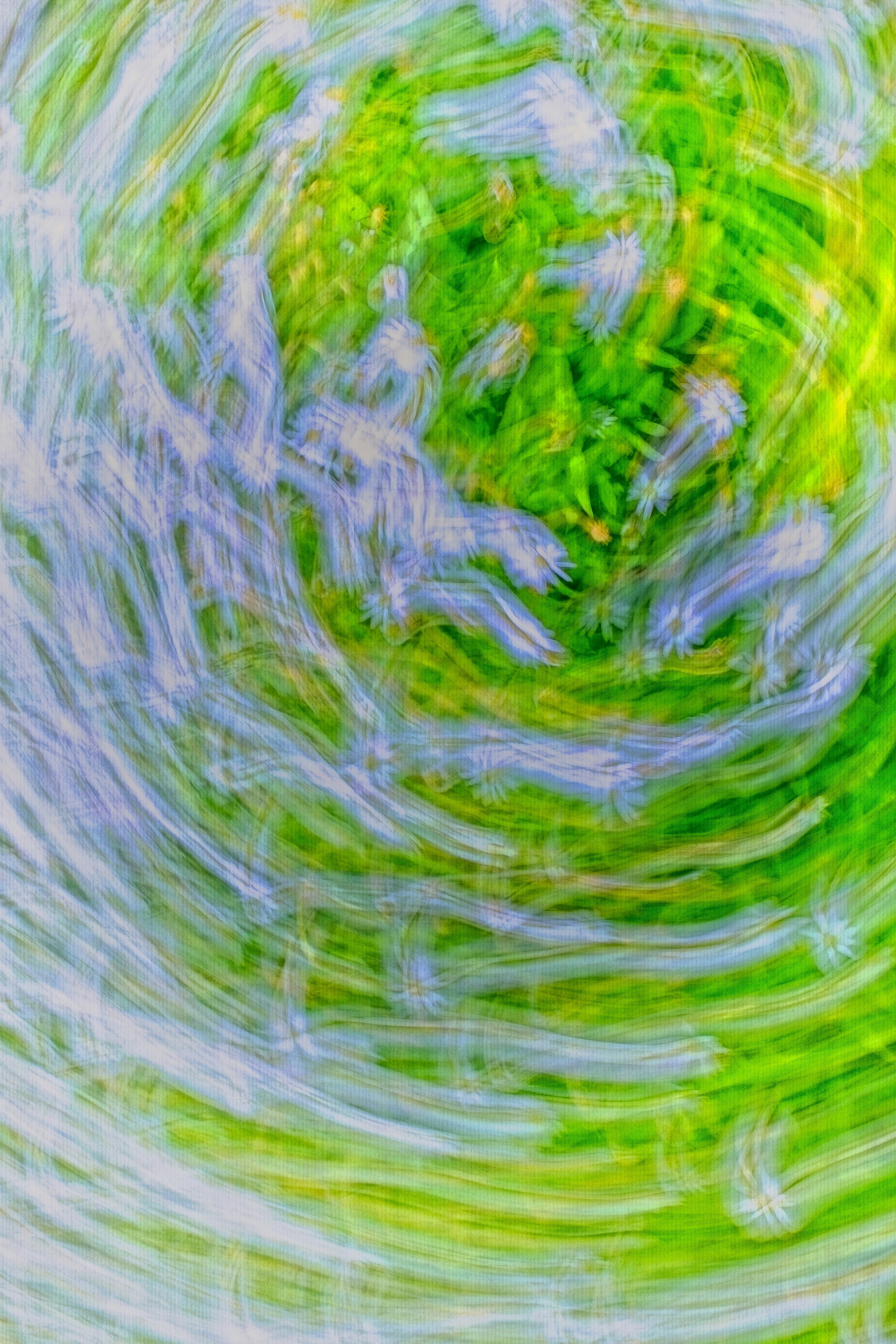 Photo by robert_clark