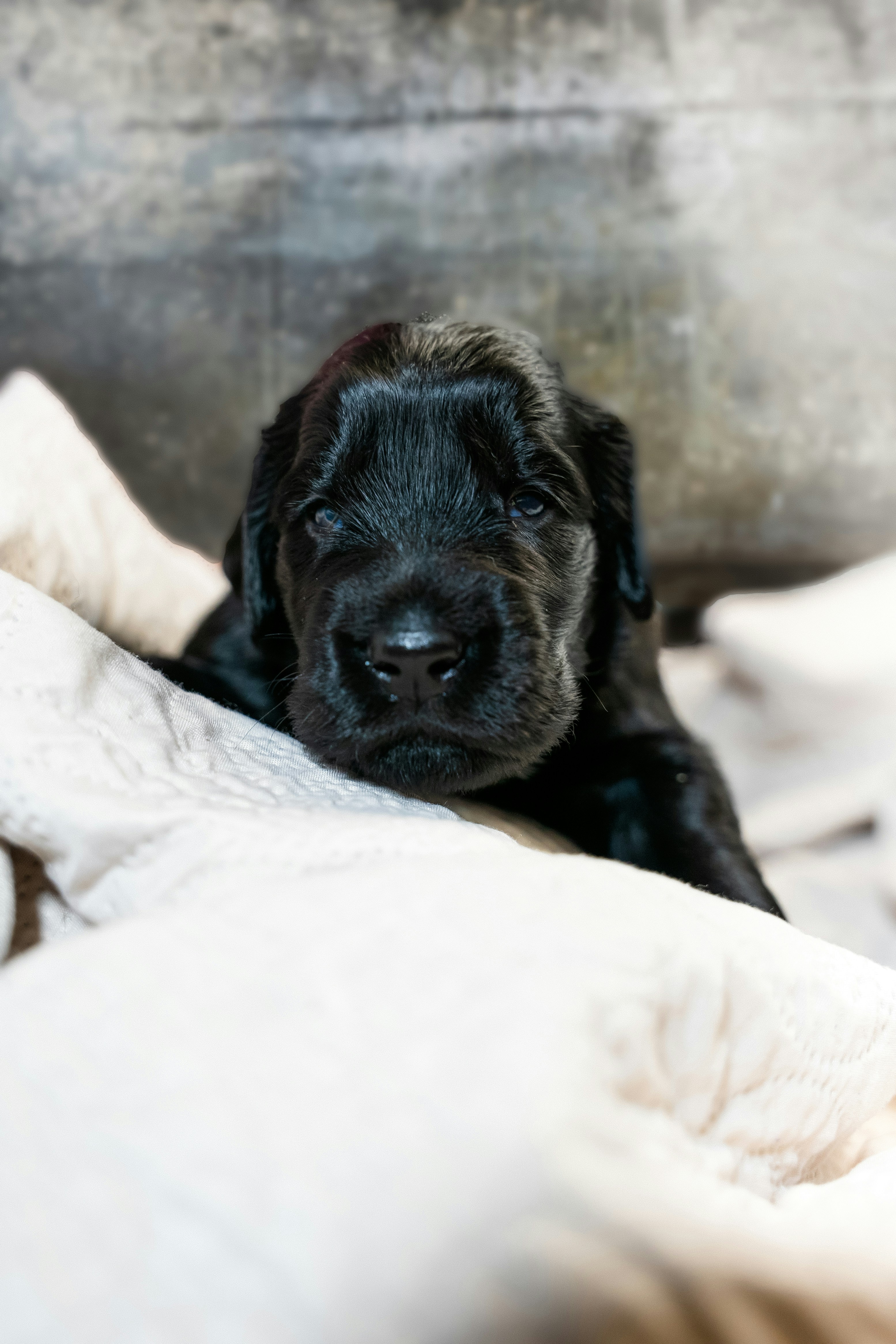 Photo by martina_ambruosi