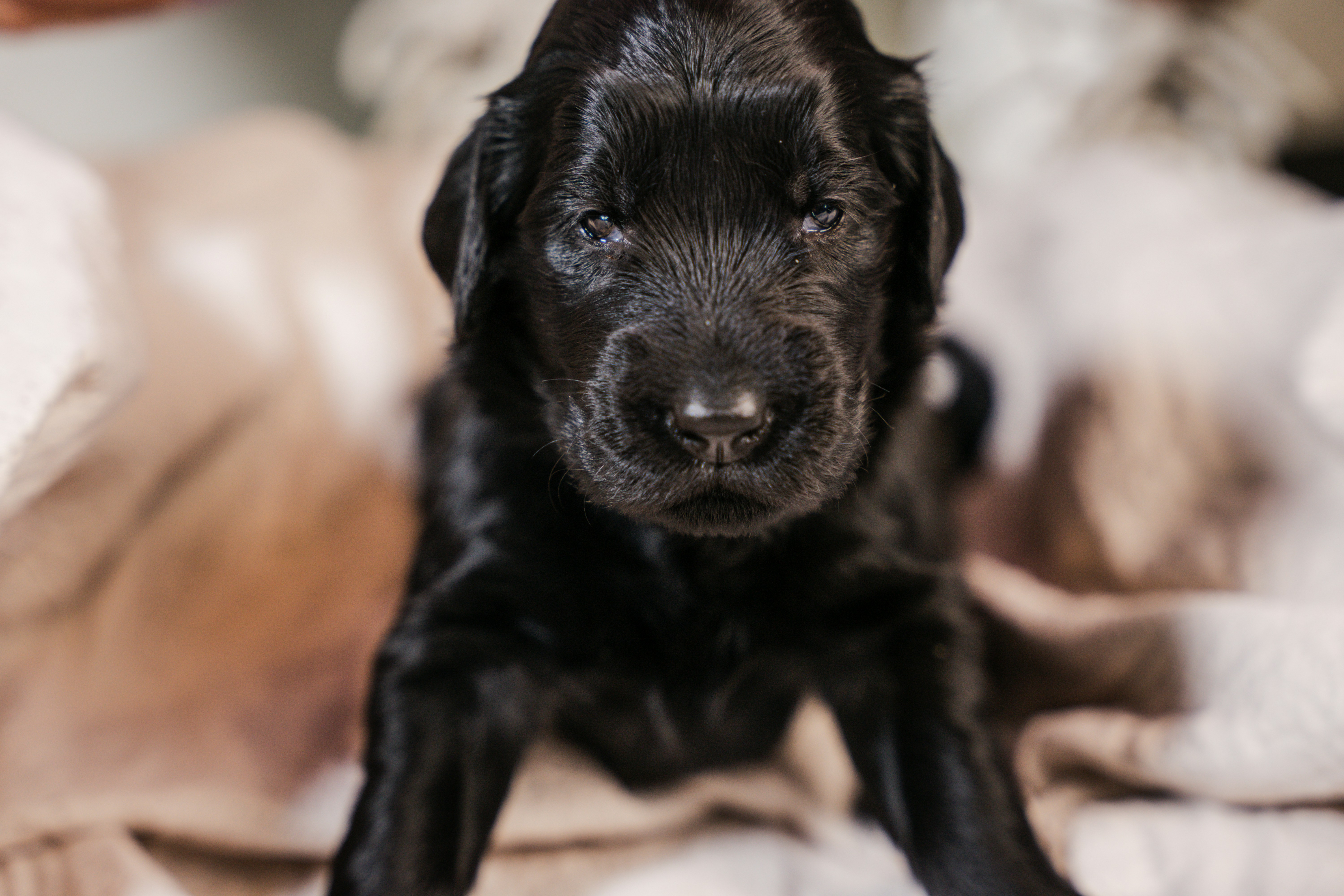 Photo by martina_ambruosi